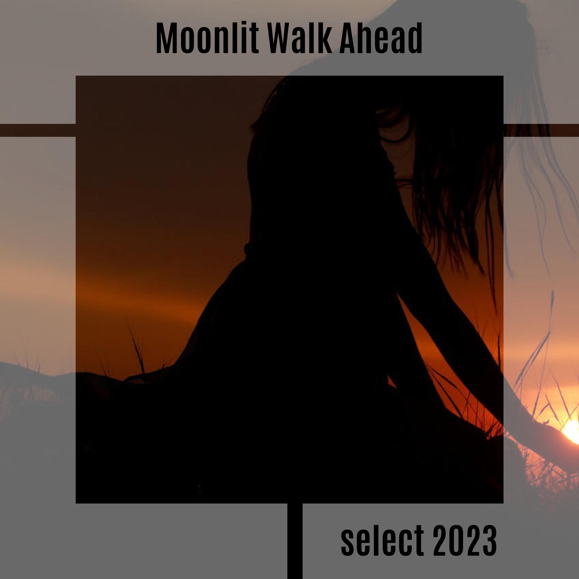 Постер альбома Moonlit Walk Ahead Select 2023