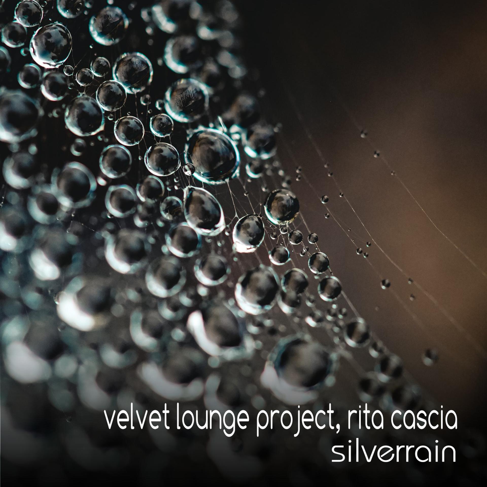 Постер альбома Silverrain