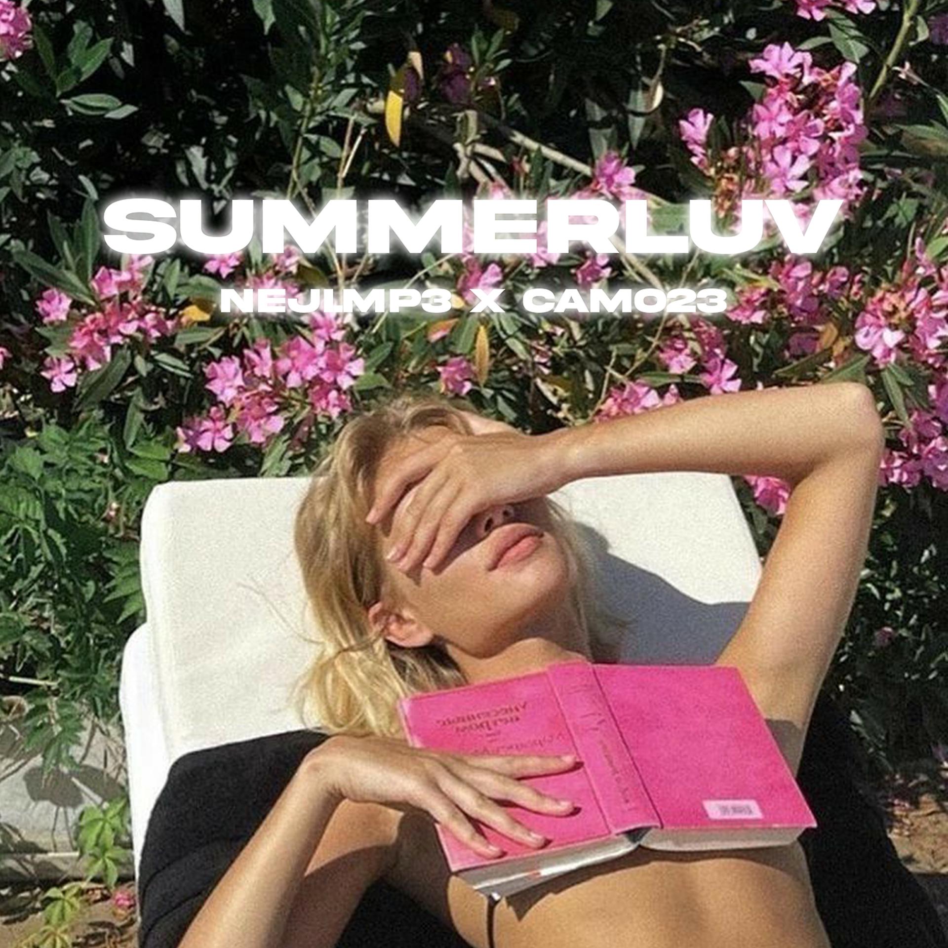 Постер альбома Summerluv