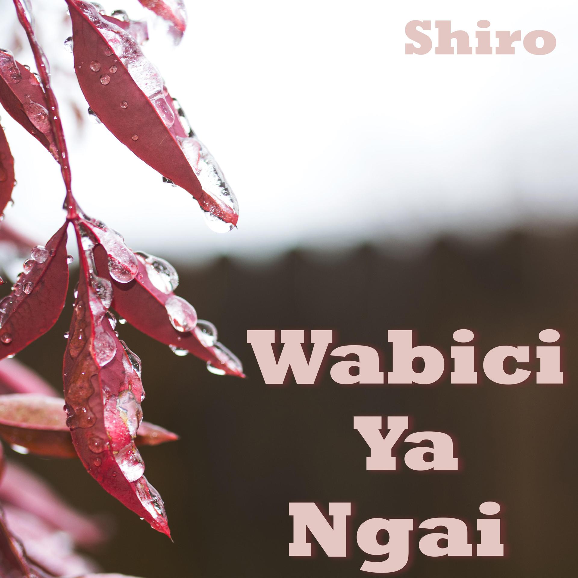 Постер альбома Wabici Ya Ngai