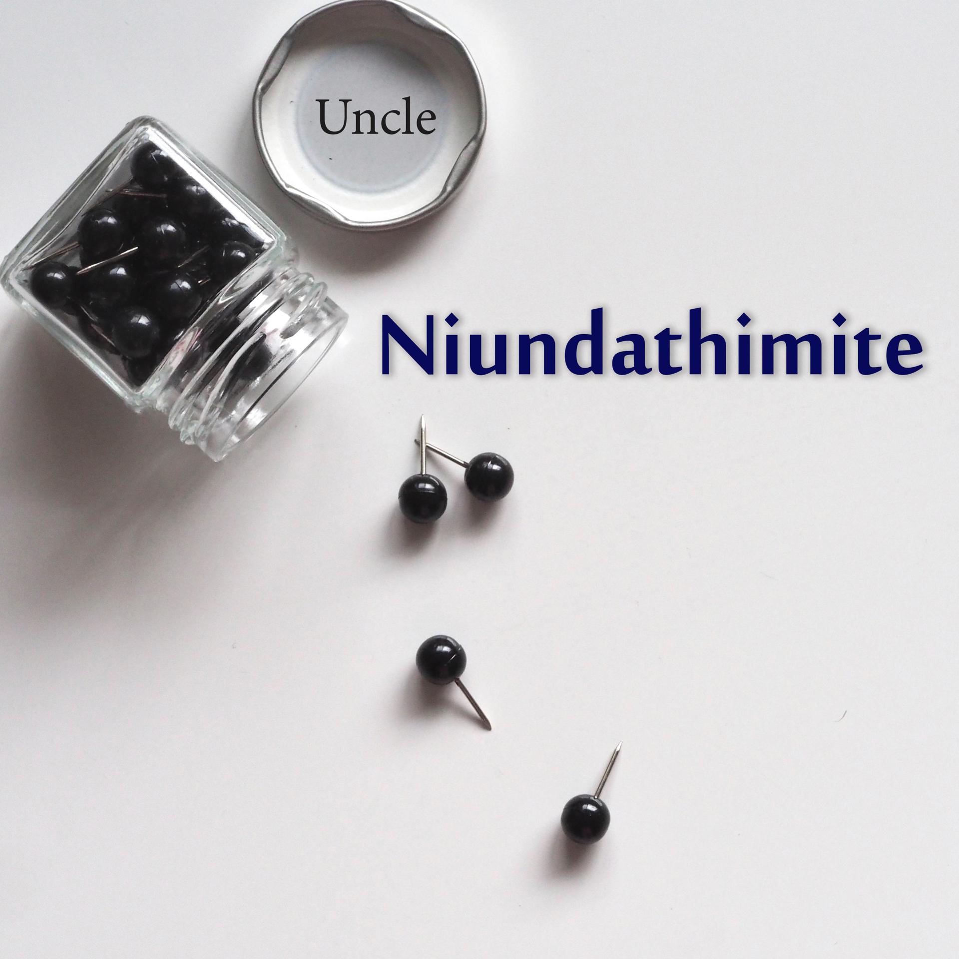 Постер альбома Niundathimite