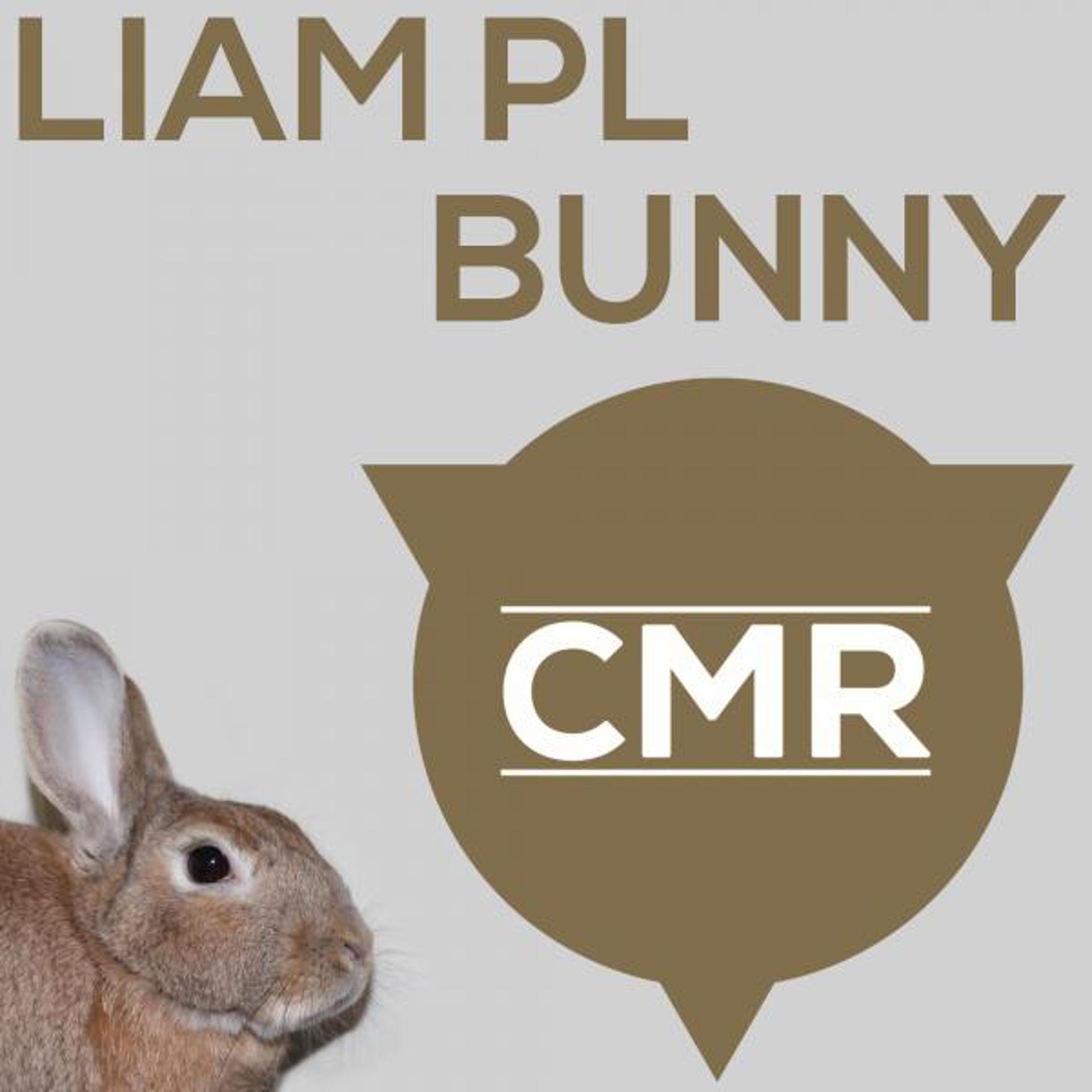 Постер альбома Bunny EP