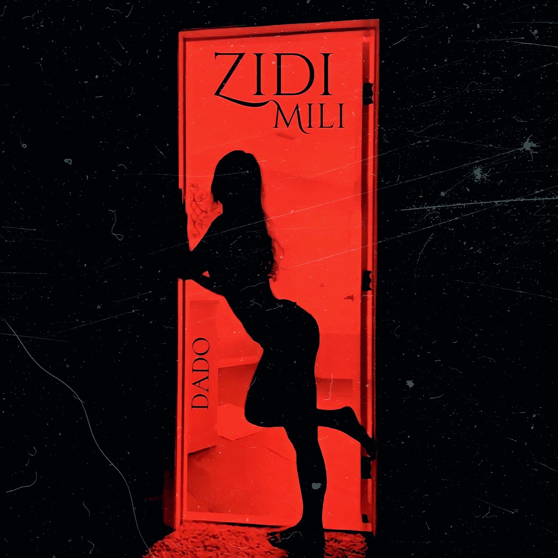 Постер альбома ZIDI MILI