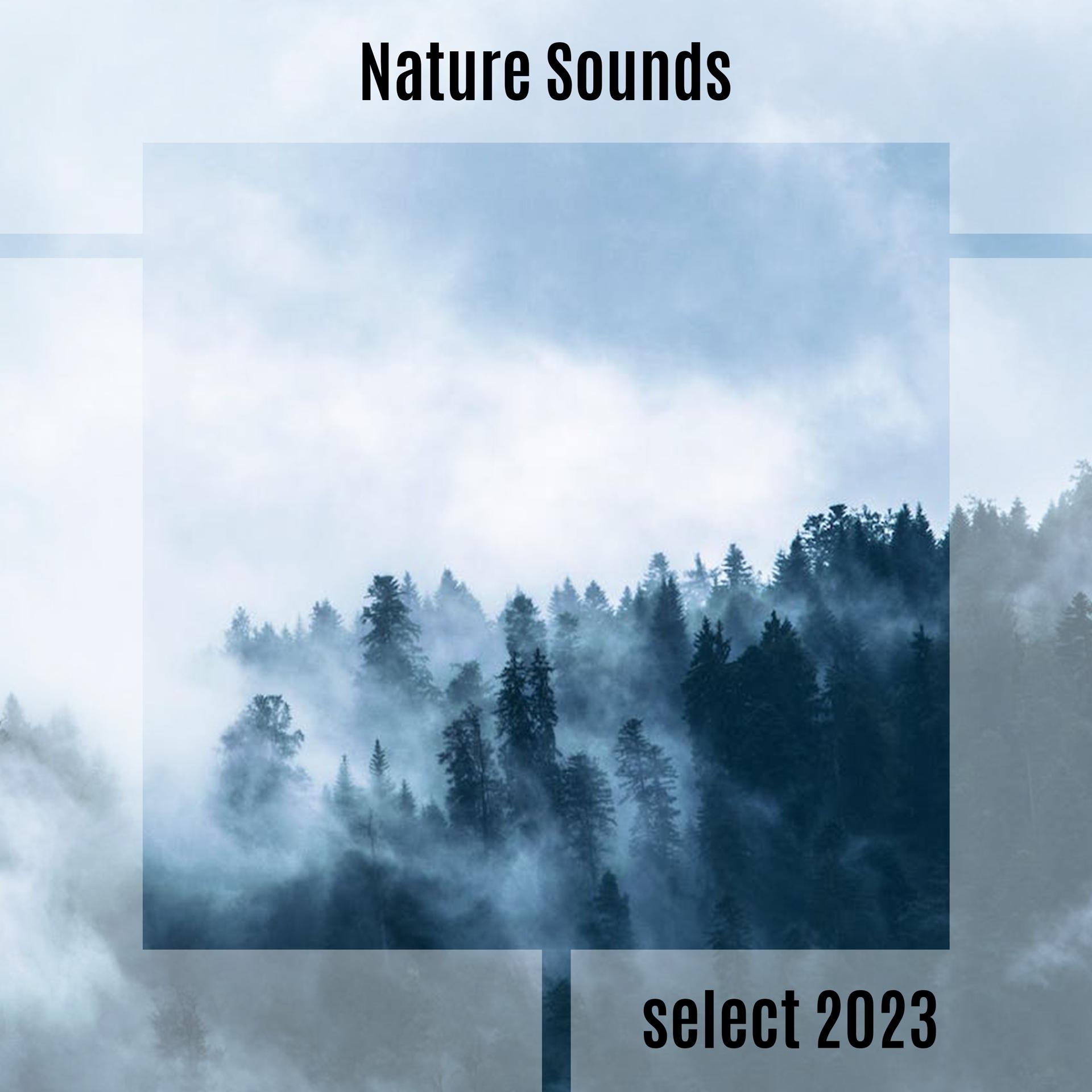 Постер альбома Nature Sounds Select 2023