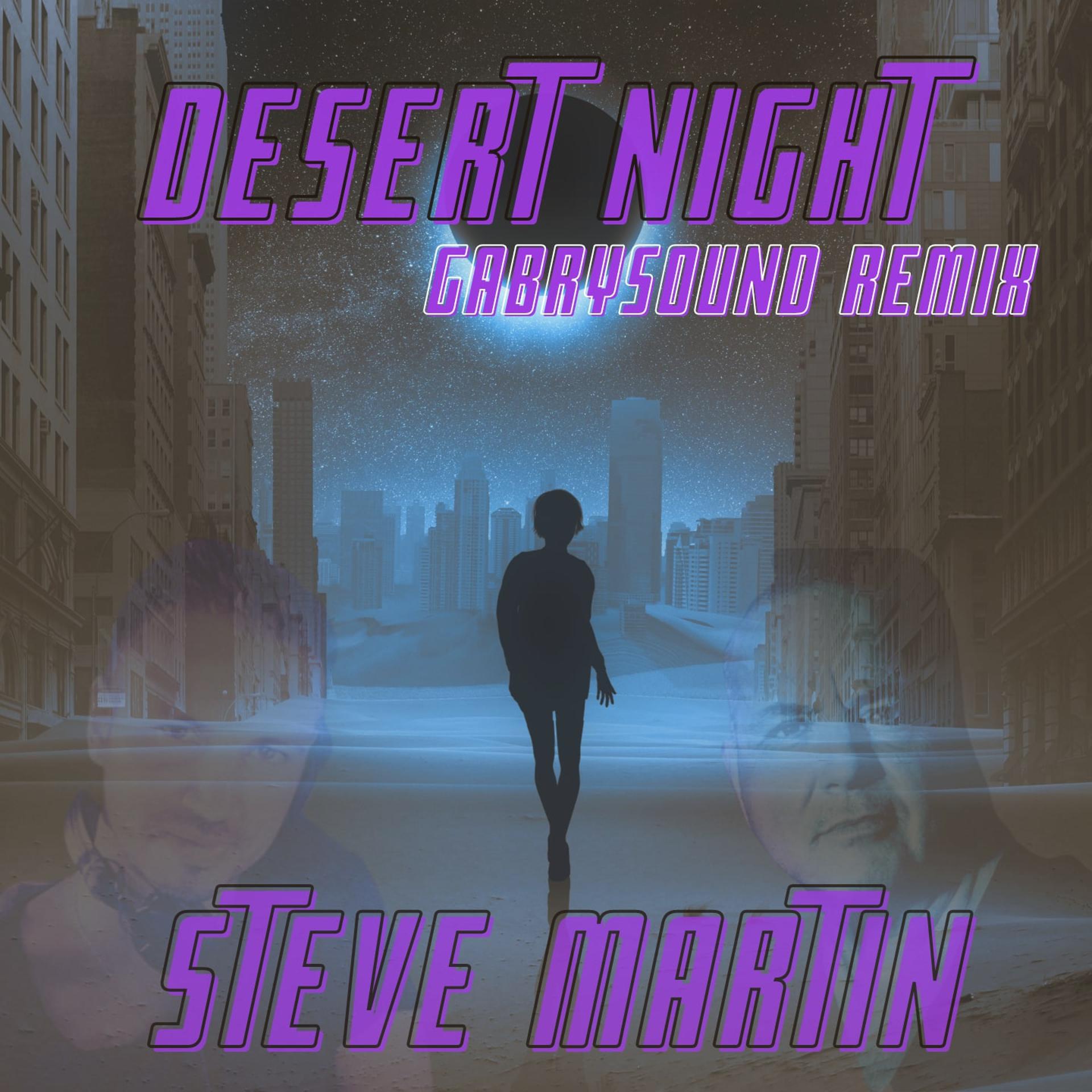 Постер альбома Desert Night