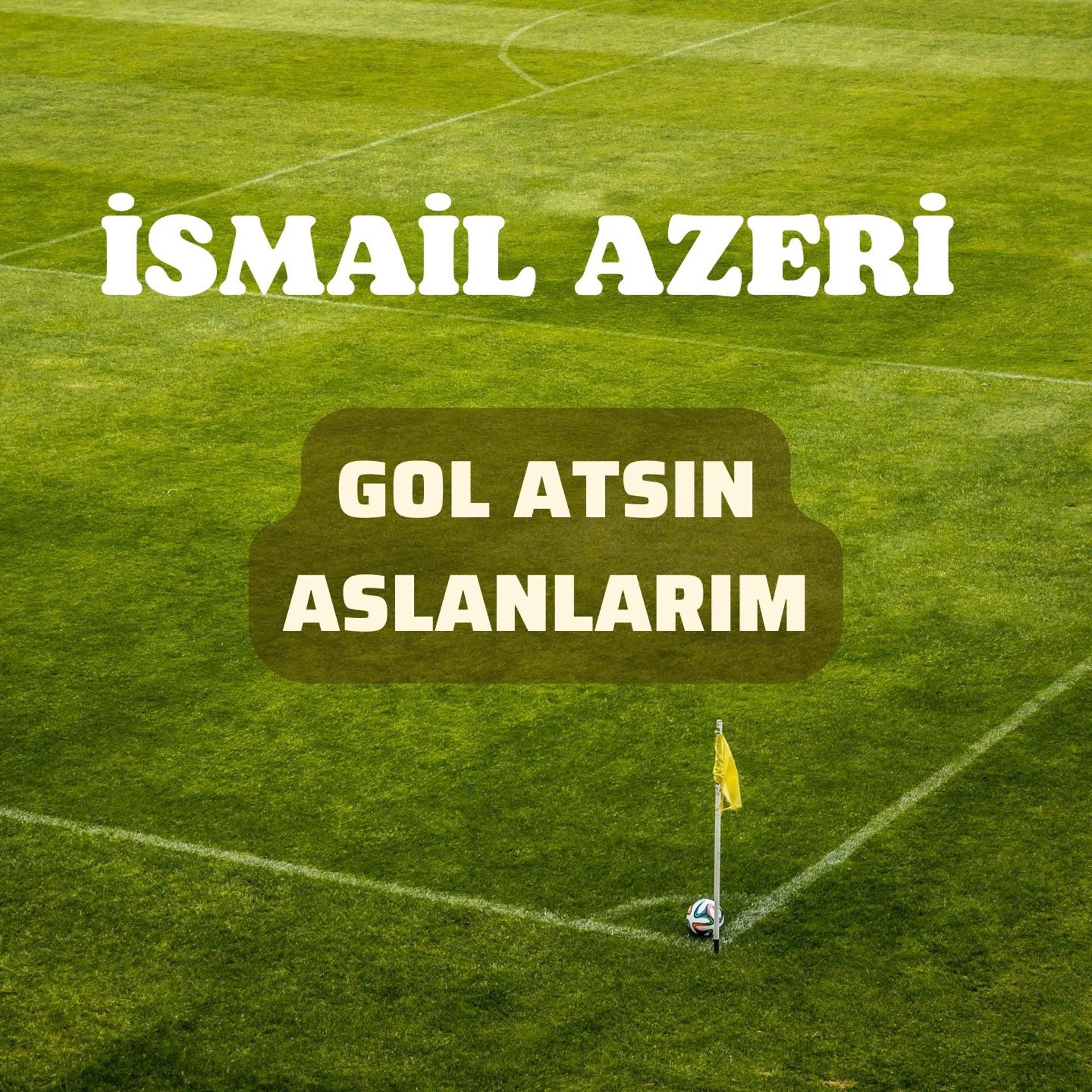 Постер альбома Gol Atsın Aslanlarım