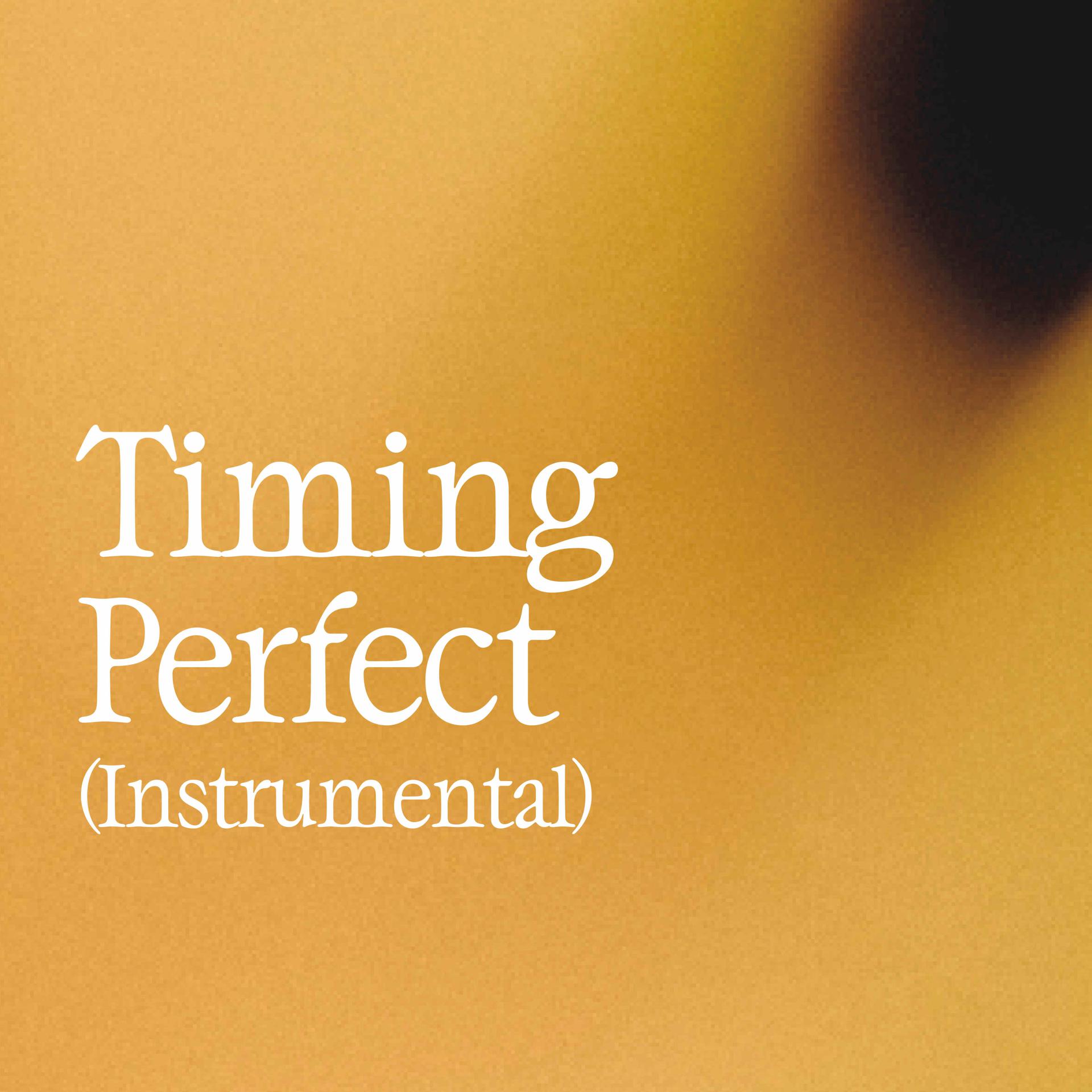 Постер альбома Timing Perfect