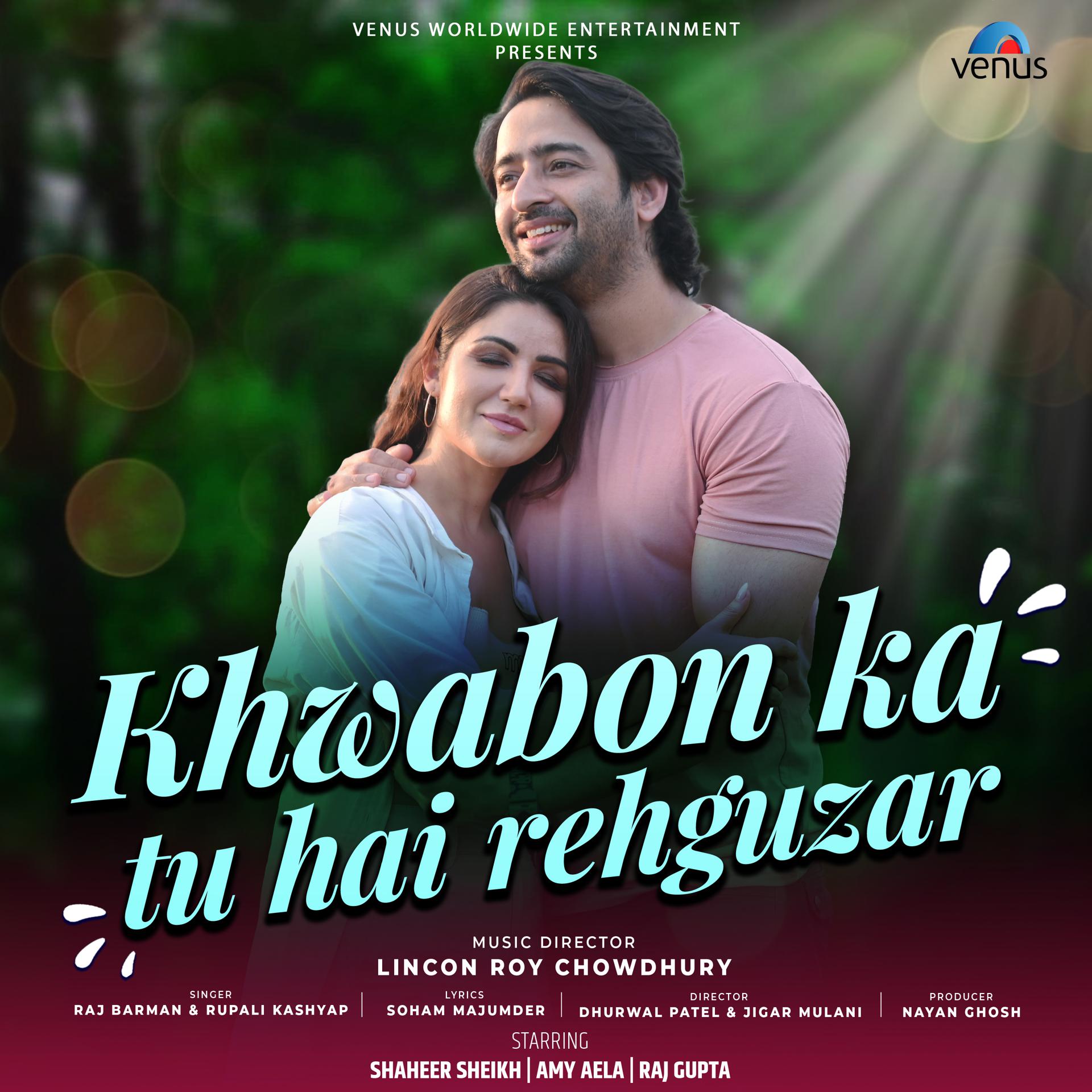 Постер альбома Khwabon Ka Tu Hai Rehguzar
