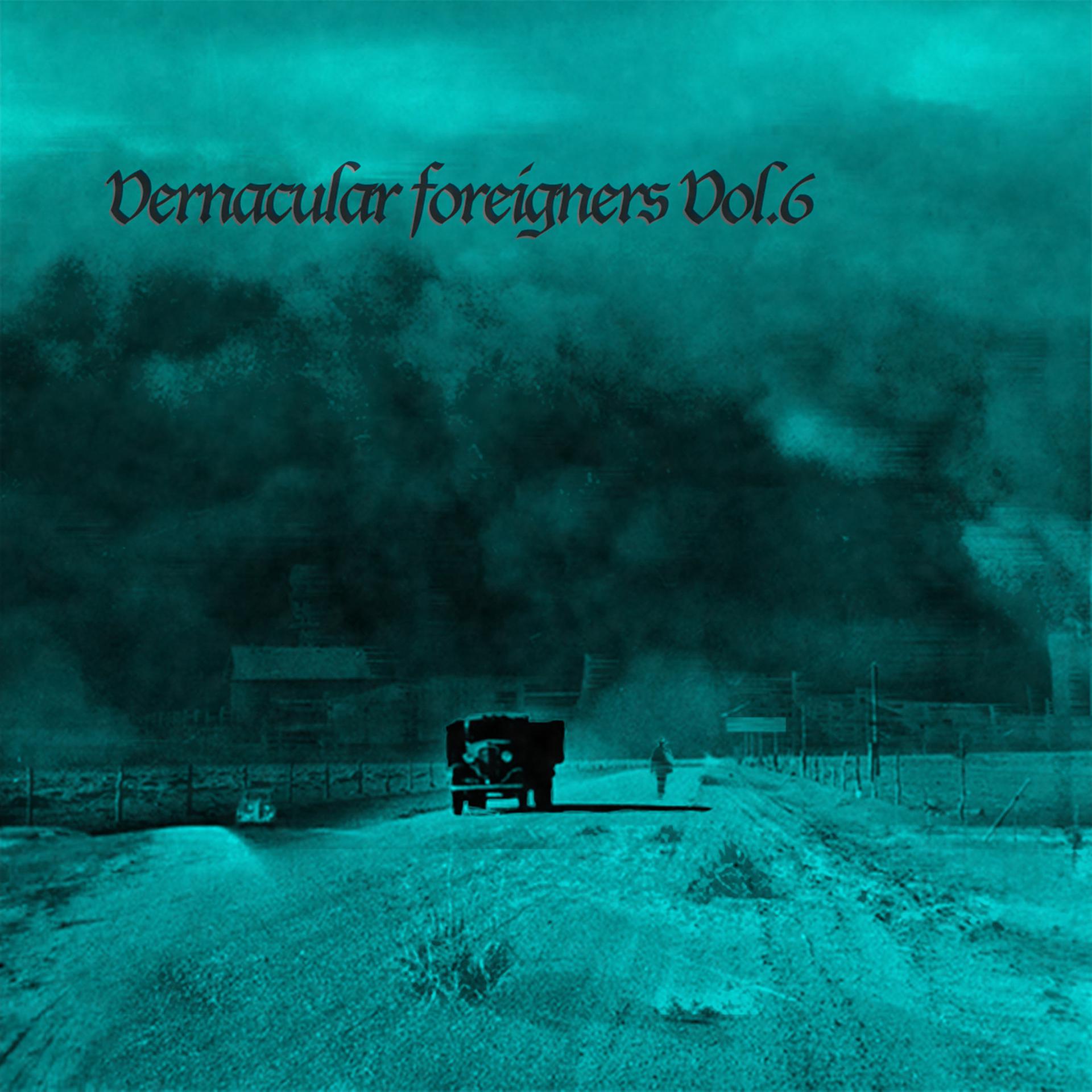Постер альбома Vernacular Foreigners, Vol.6