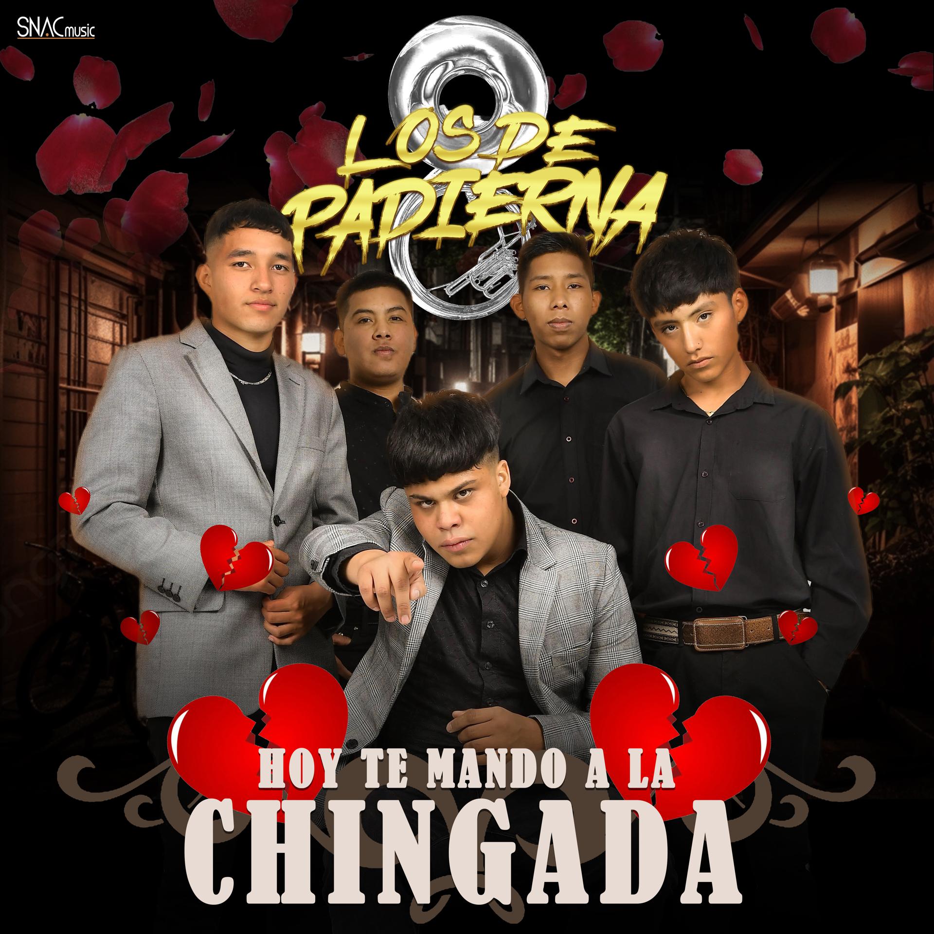 Постер альбома Hoy Te Mando A La Chingada