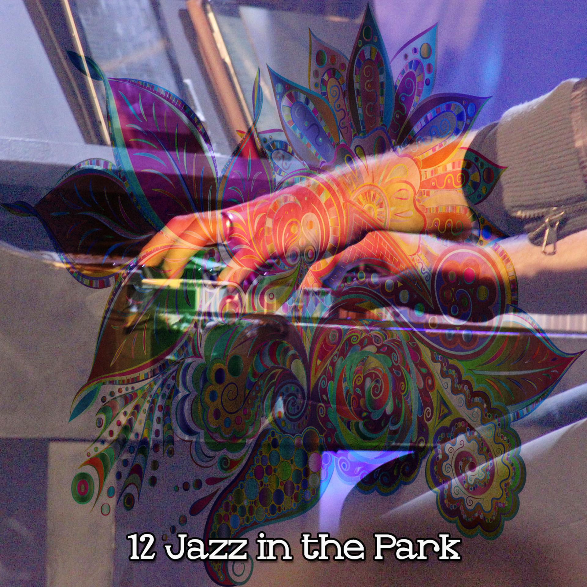 Постер альбома 12 Jazz in the Park