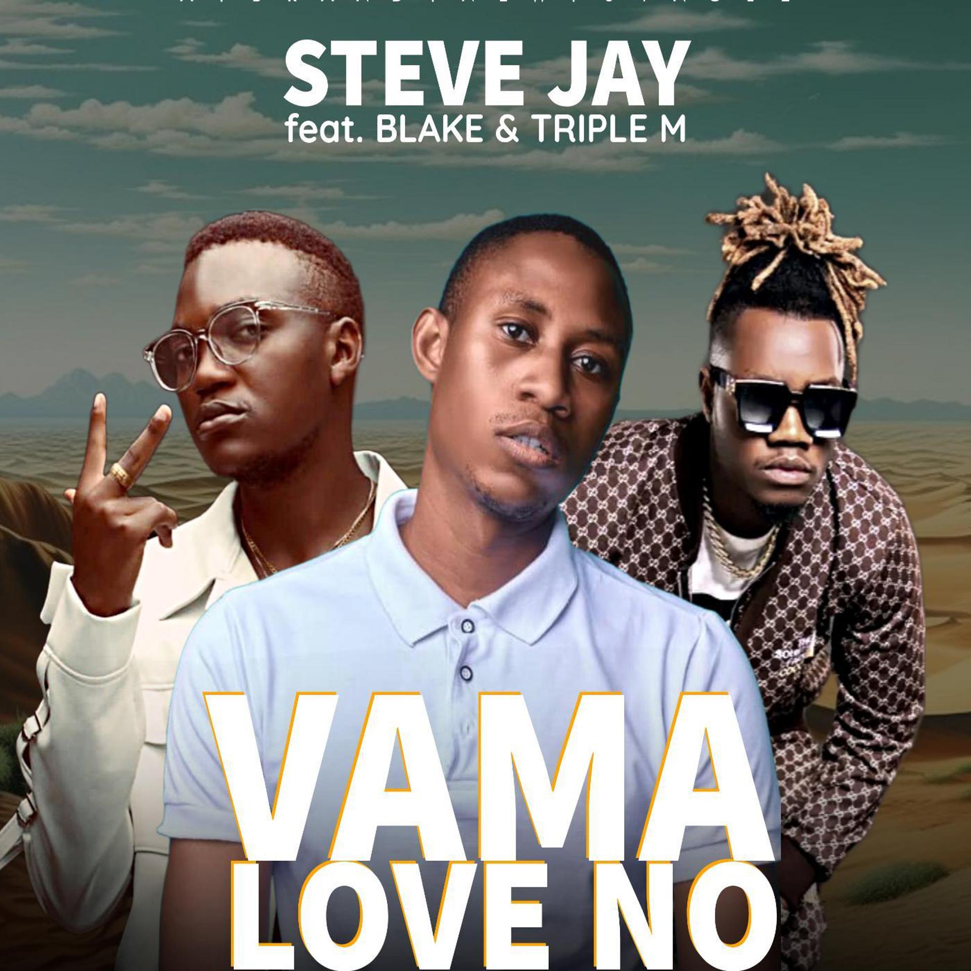 Постер альбома Vama Love (feat. Blake & Triple M)