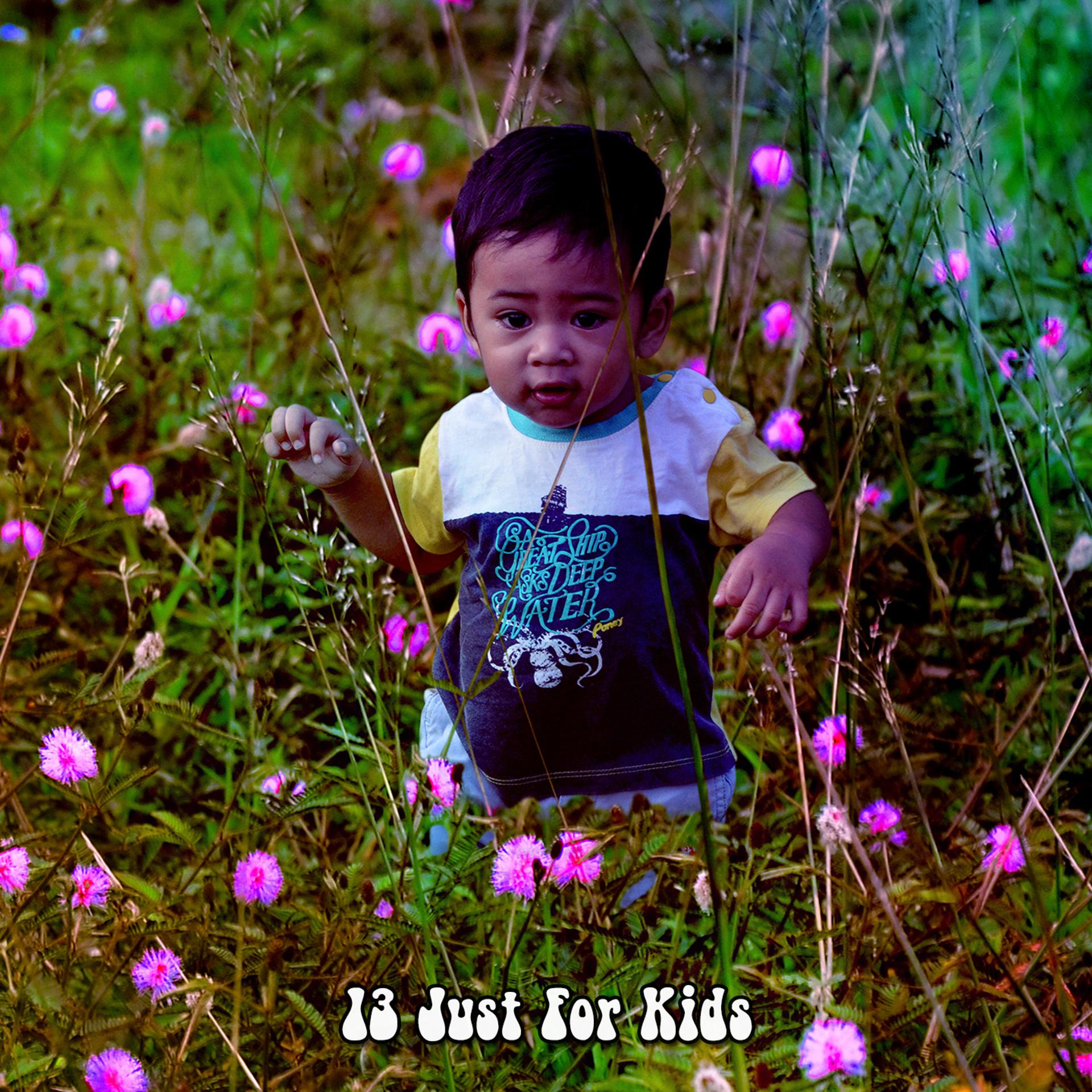 Постер альбома 13 Just For Kids