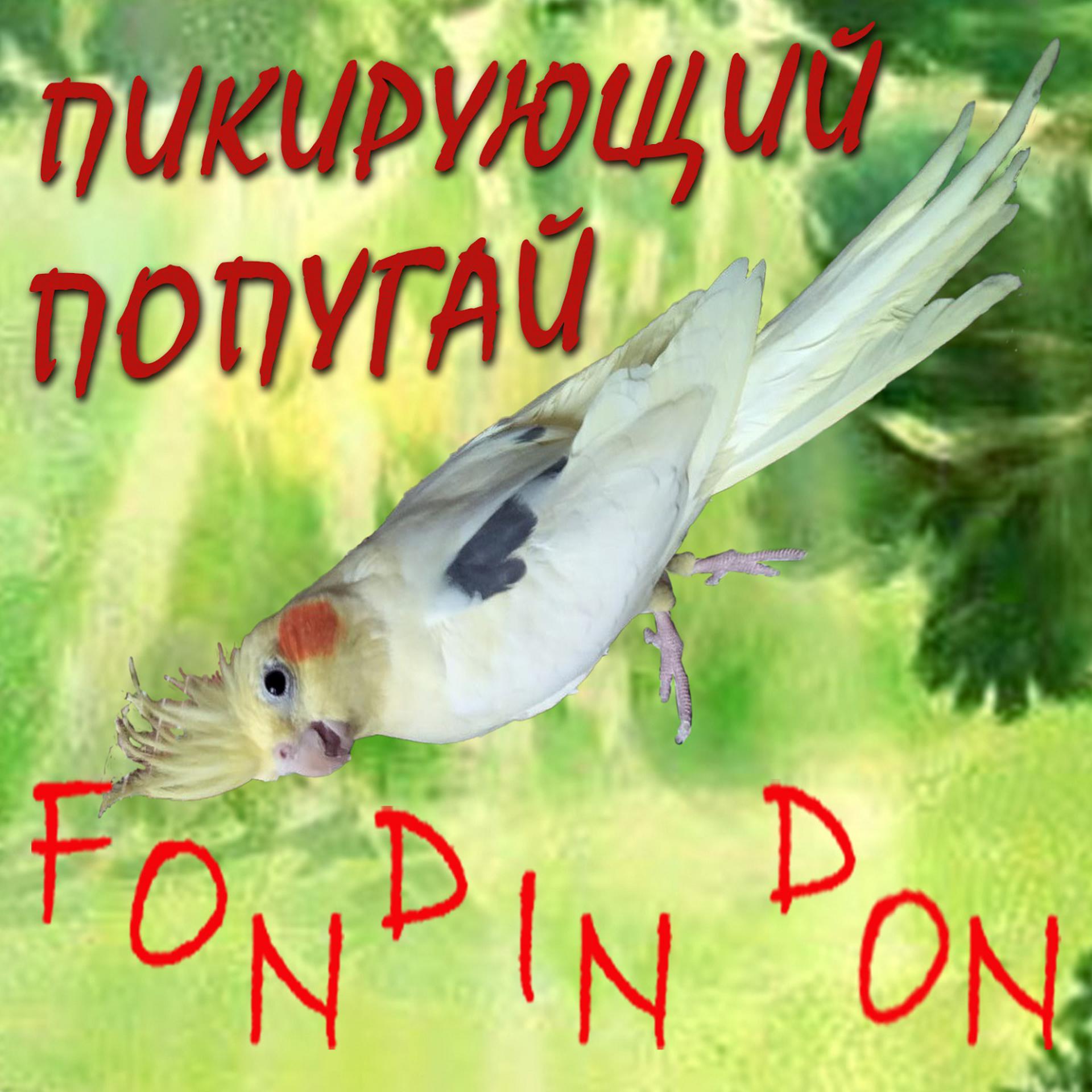 Постер альбома Пикирующий Попугай