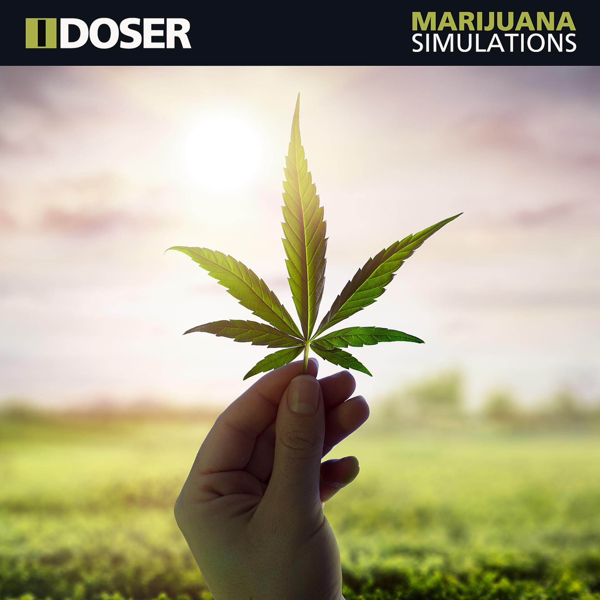 Постер альбома Marijuana Simulations