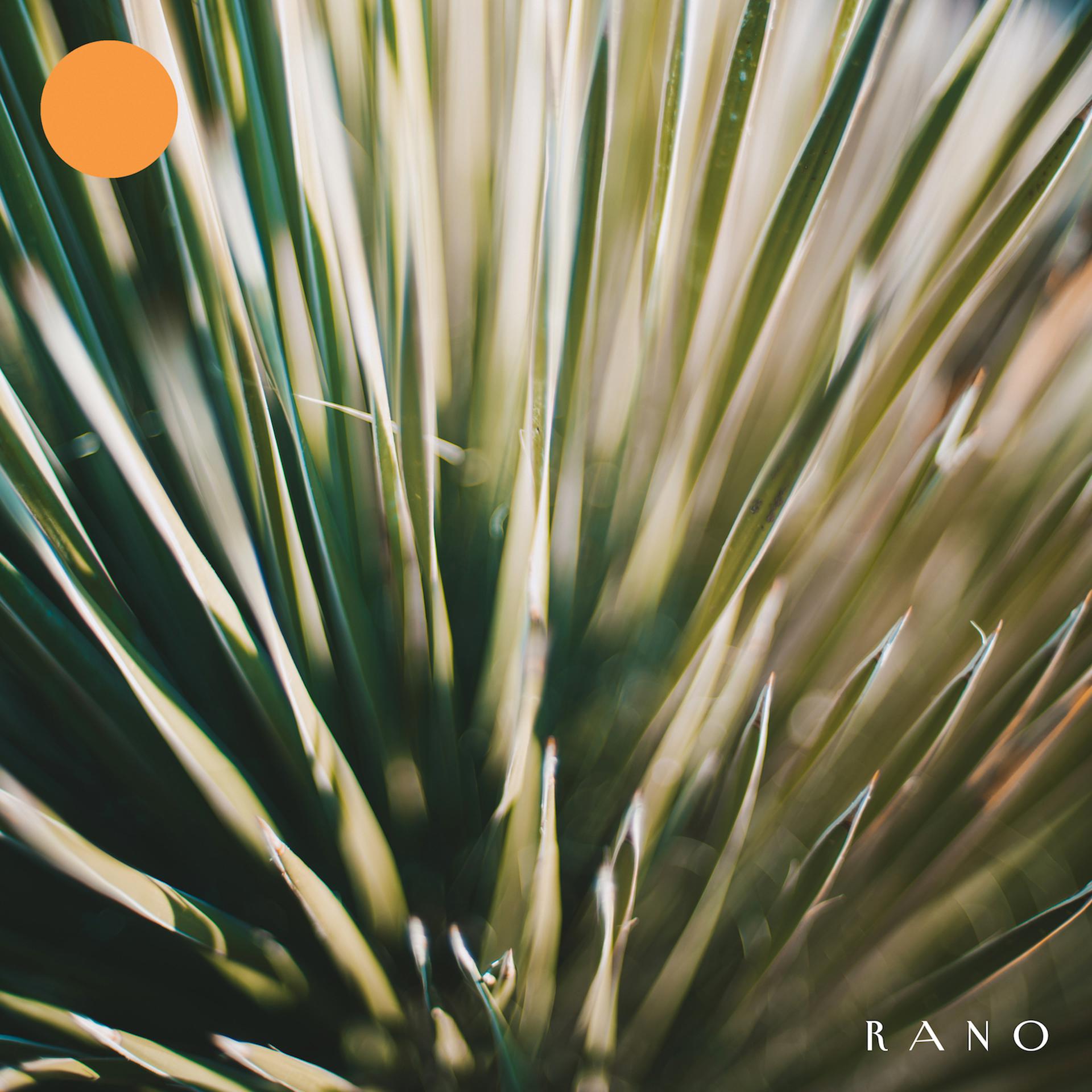 Постер альбома Rano