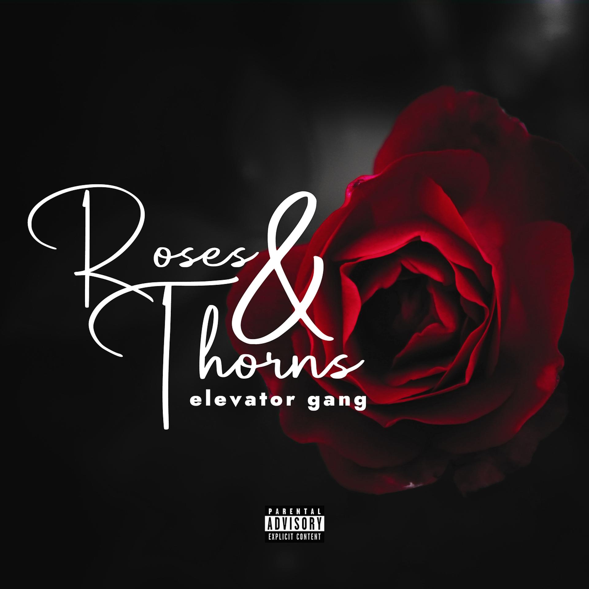 Постер альбома Roses & Thorns