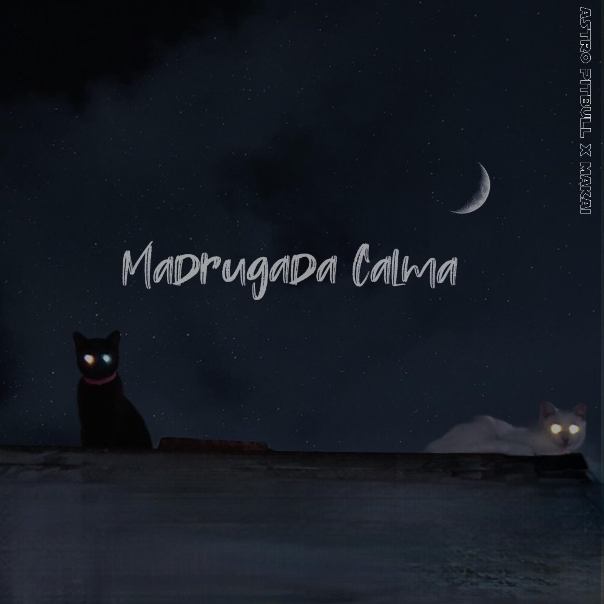 Постер альбома Madrugada Calma 2