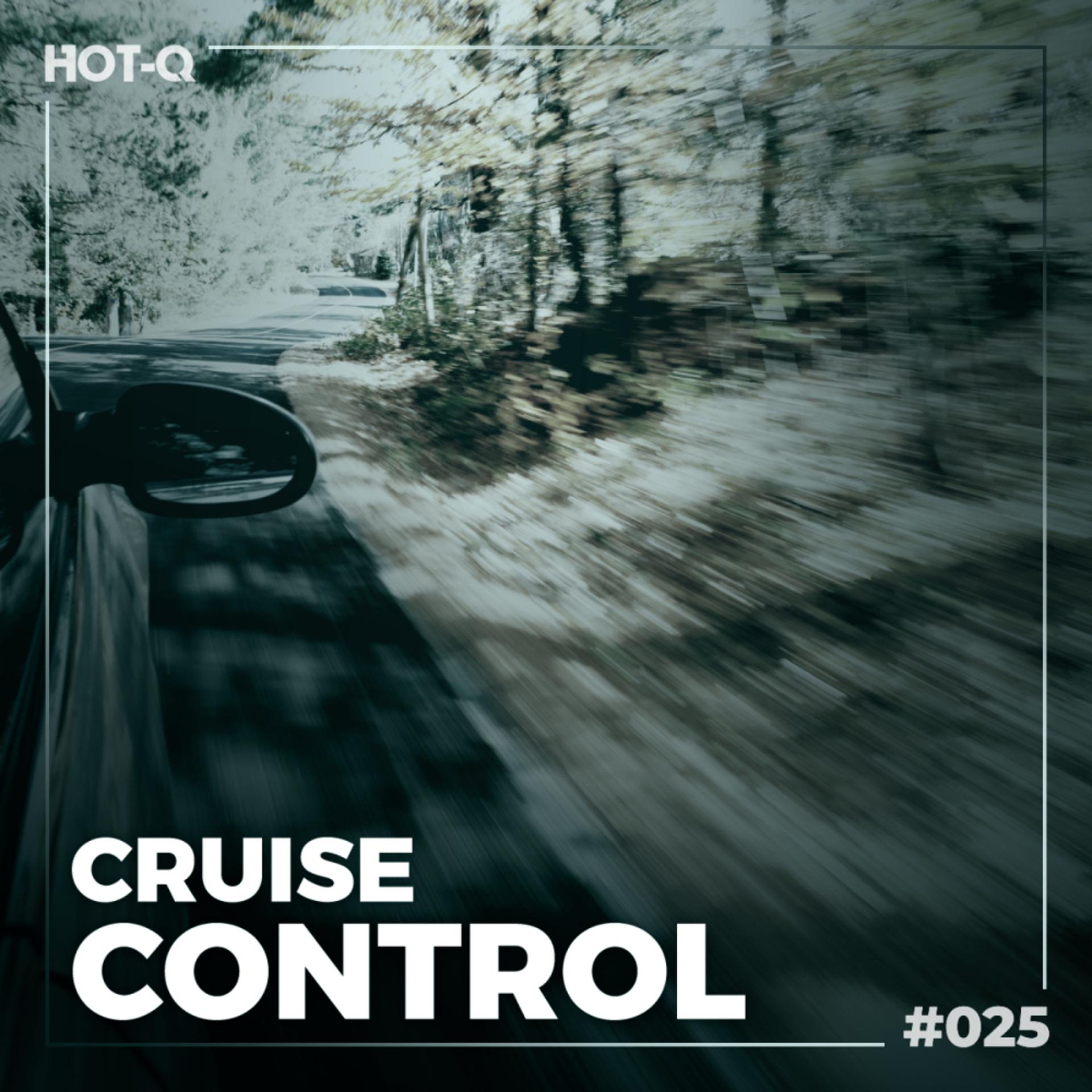 Постер альбома Cruise Control 025