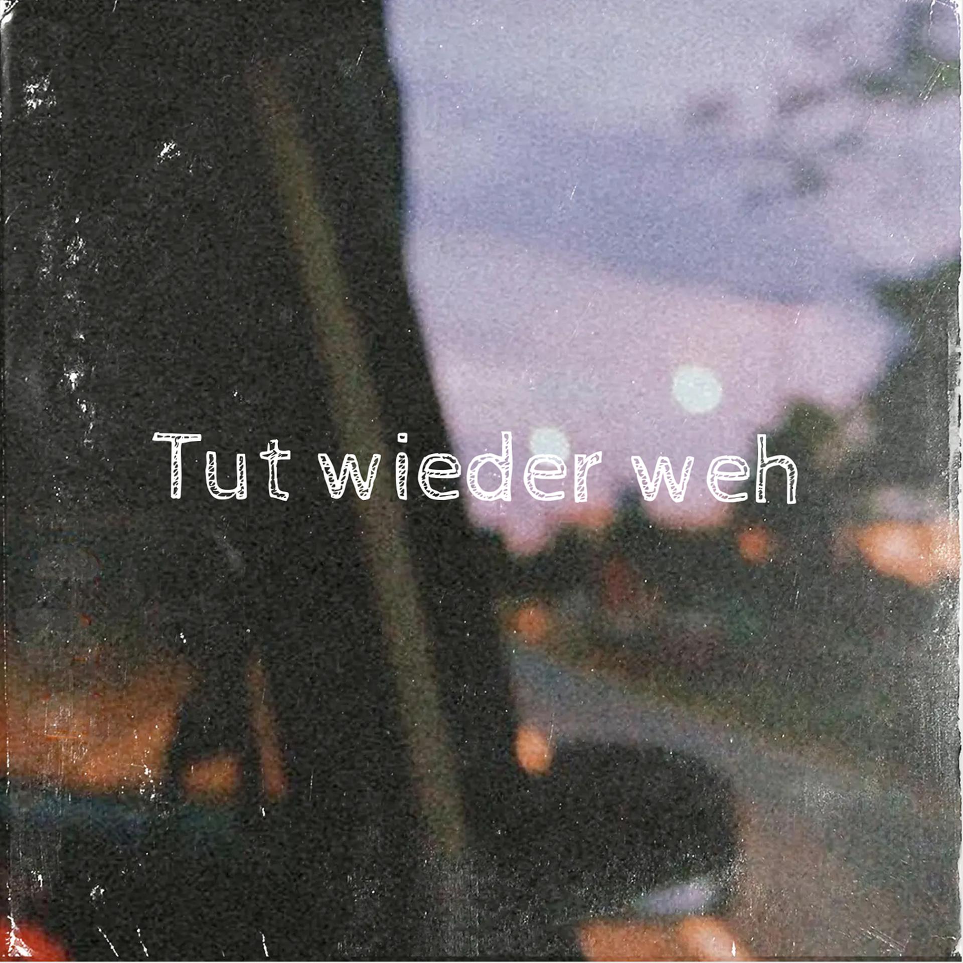 Постер альбома Tut Wieder Weh