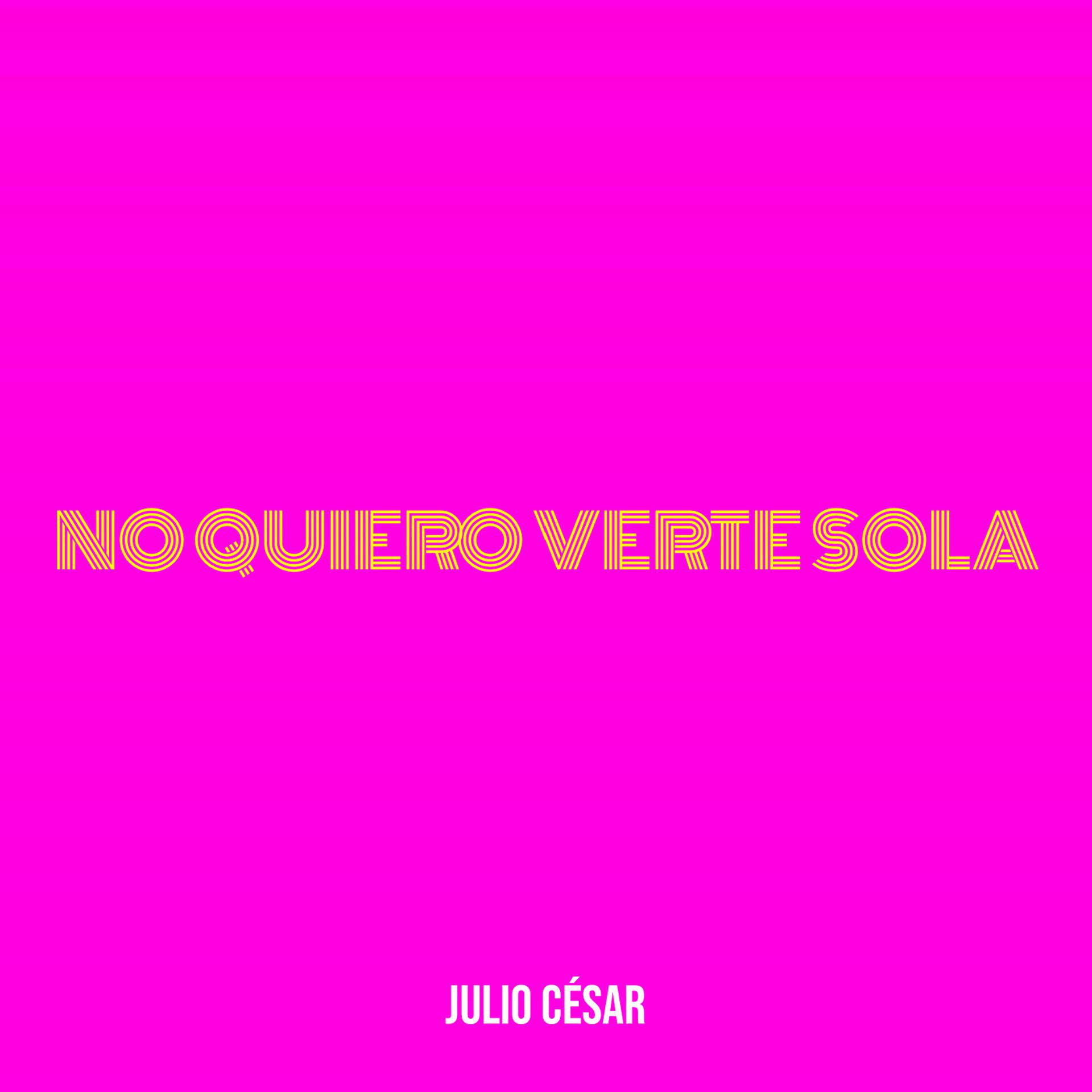 Постер альбома No Quiero Verte Sola