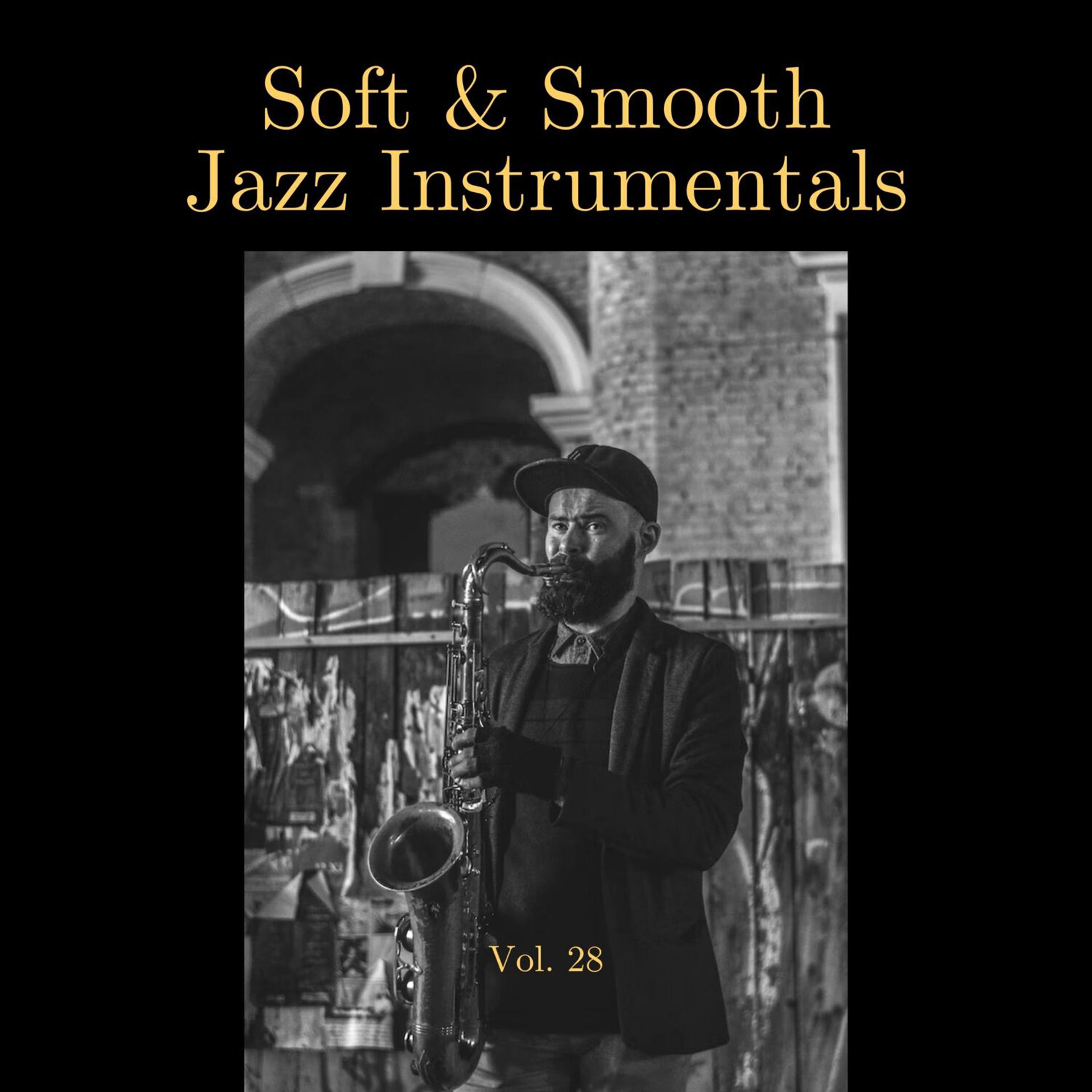Постер альбома Soft & Smooth Jazz Instrumentals, Vol. 28