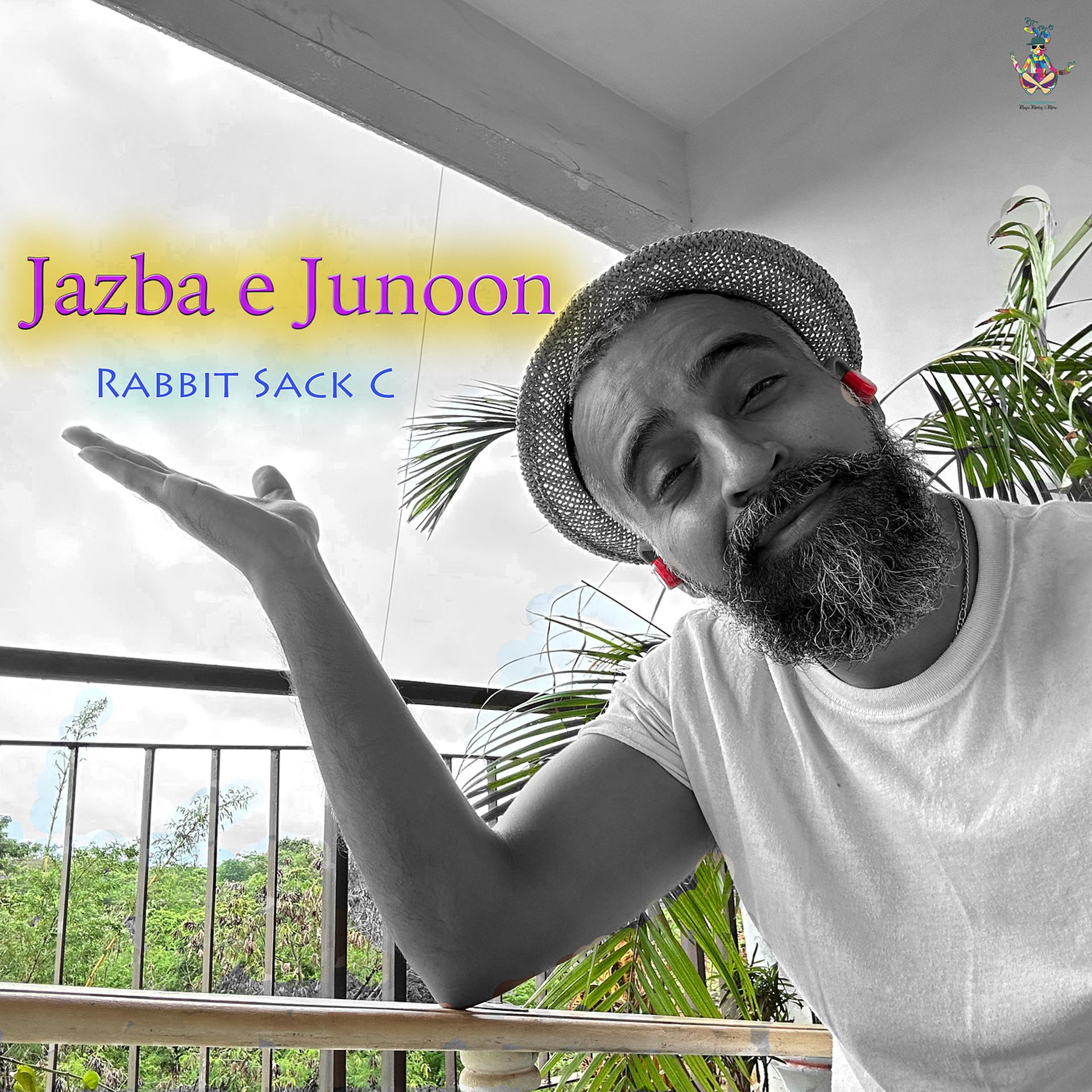 Постер альбома Jazba E Junoon