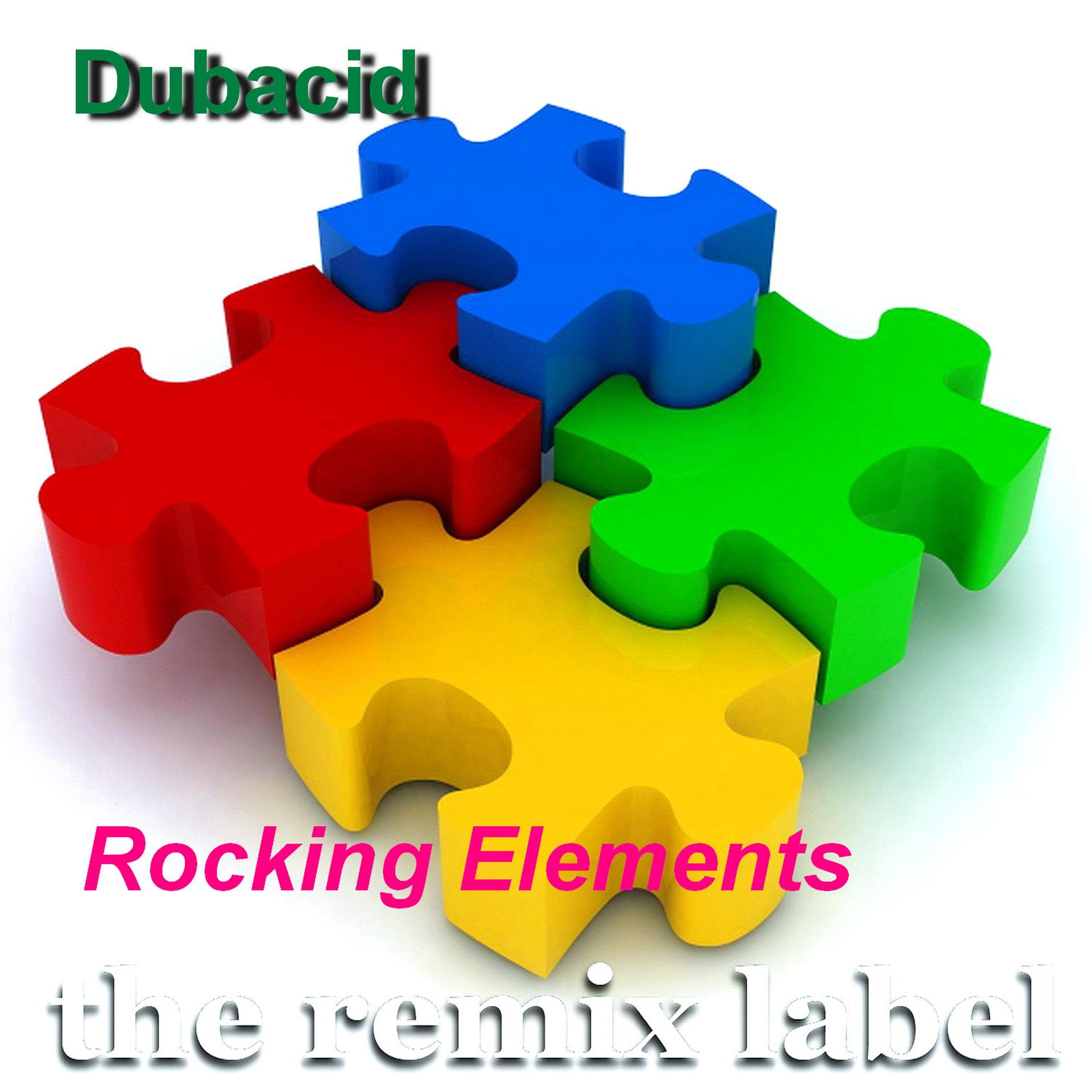 Постер альбома Rocking Elements (Acid Techhouse Dub Mix)