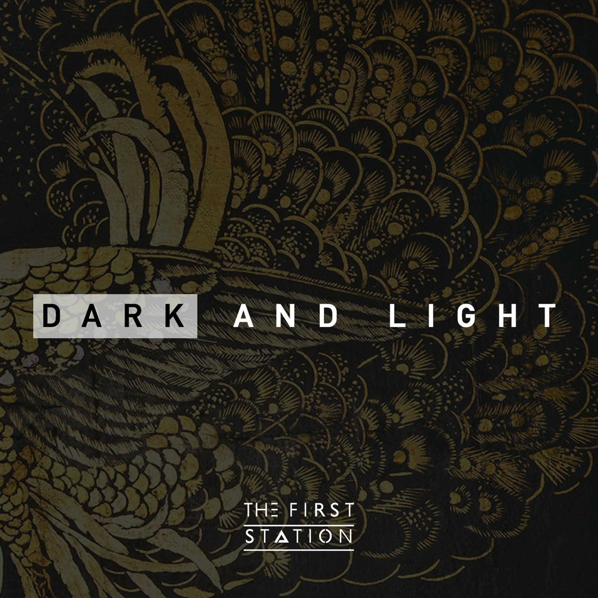 Постер альбома Dark And Light