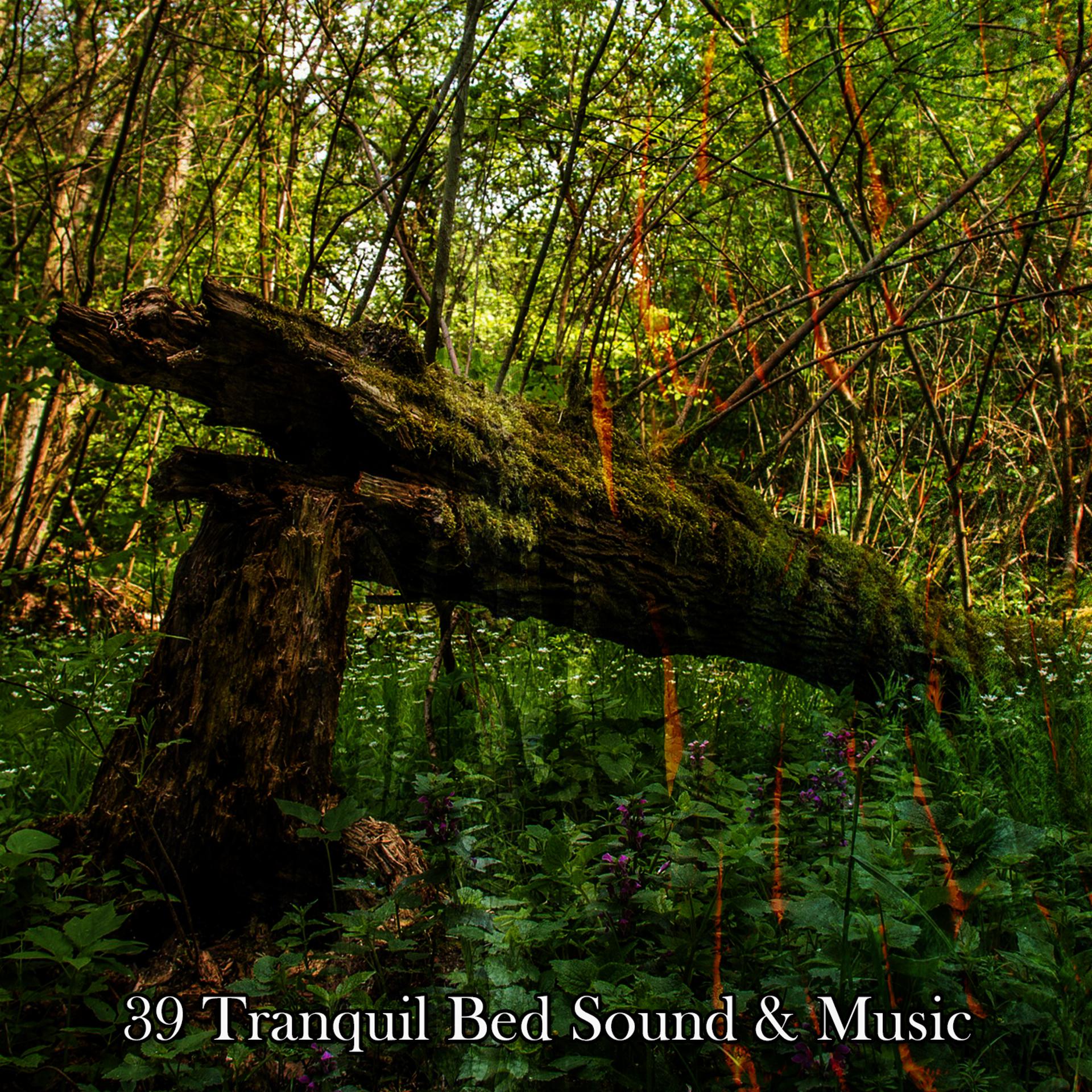 Постер альбома 39 Tranquil Bed Sound & Music