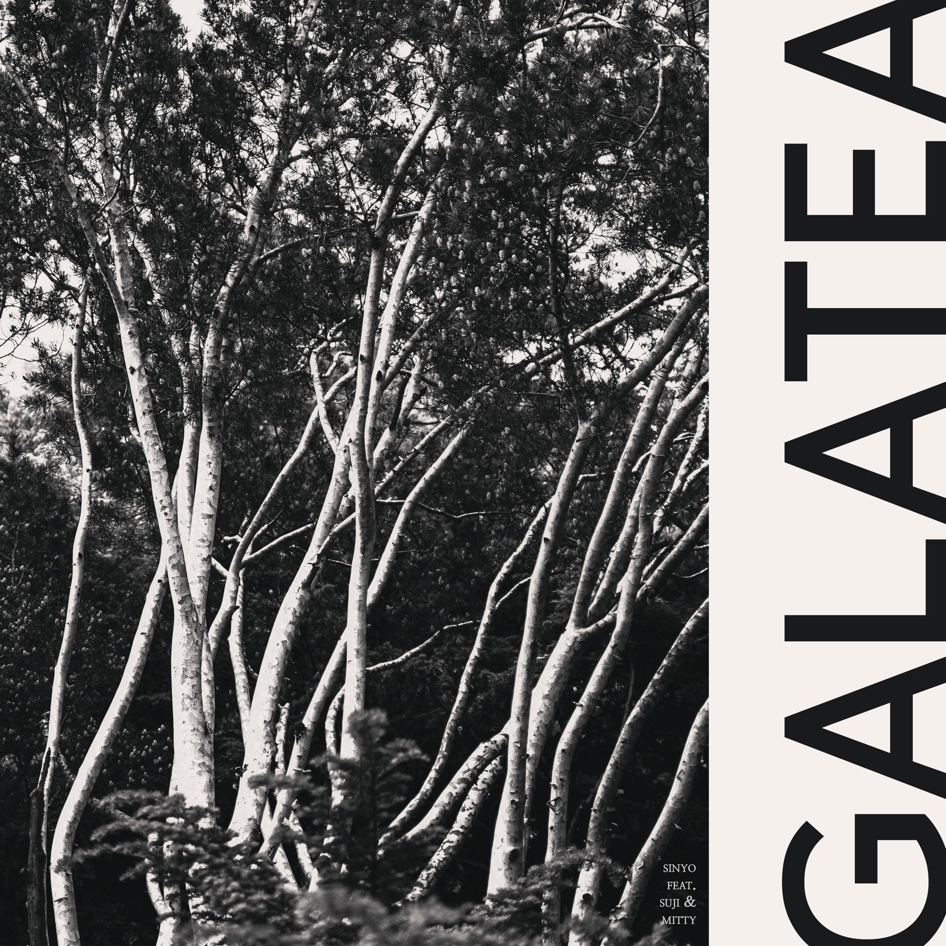 Постер альбома Galatea