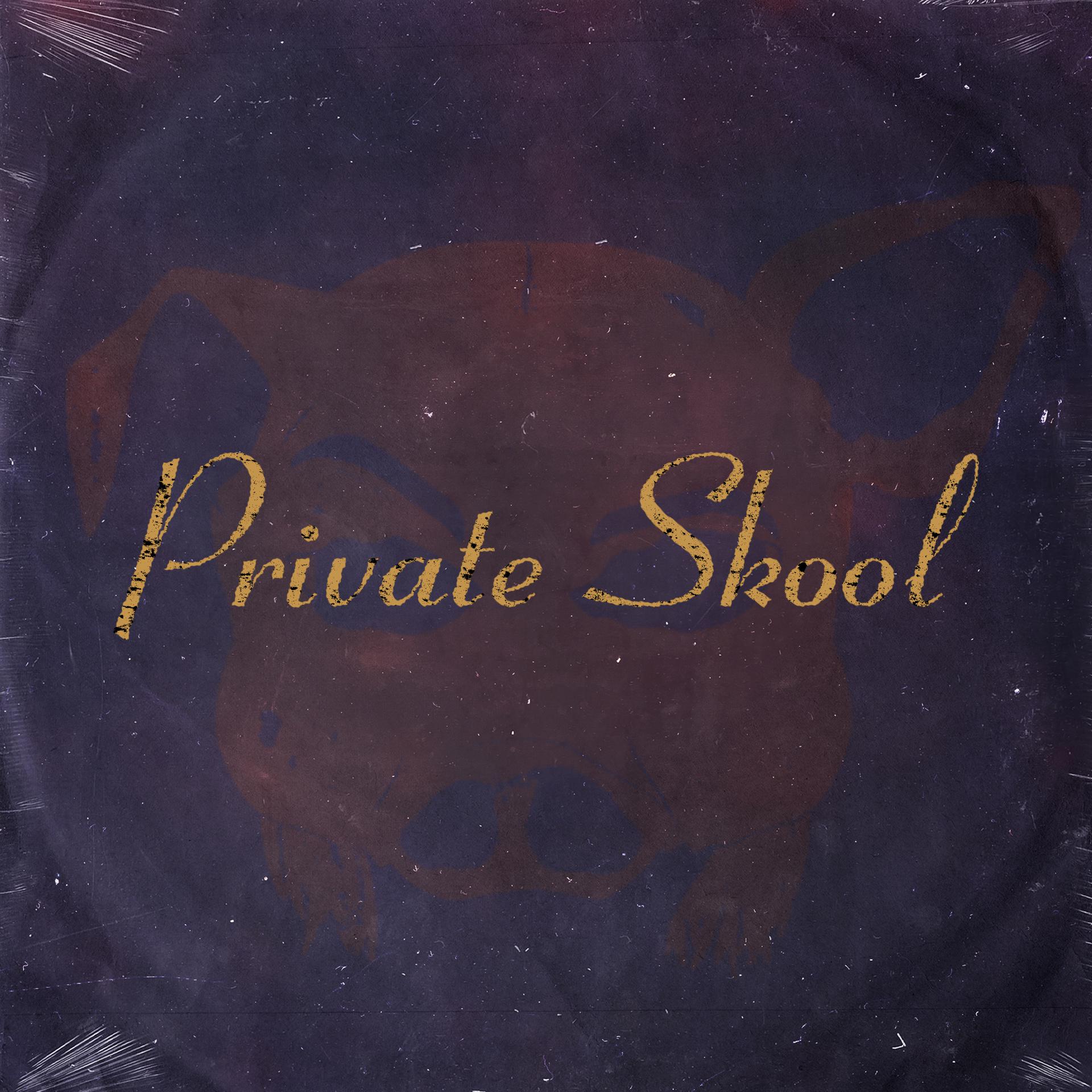 Постер альбома Private Skool