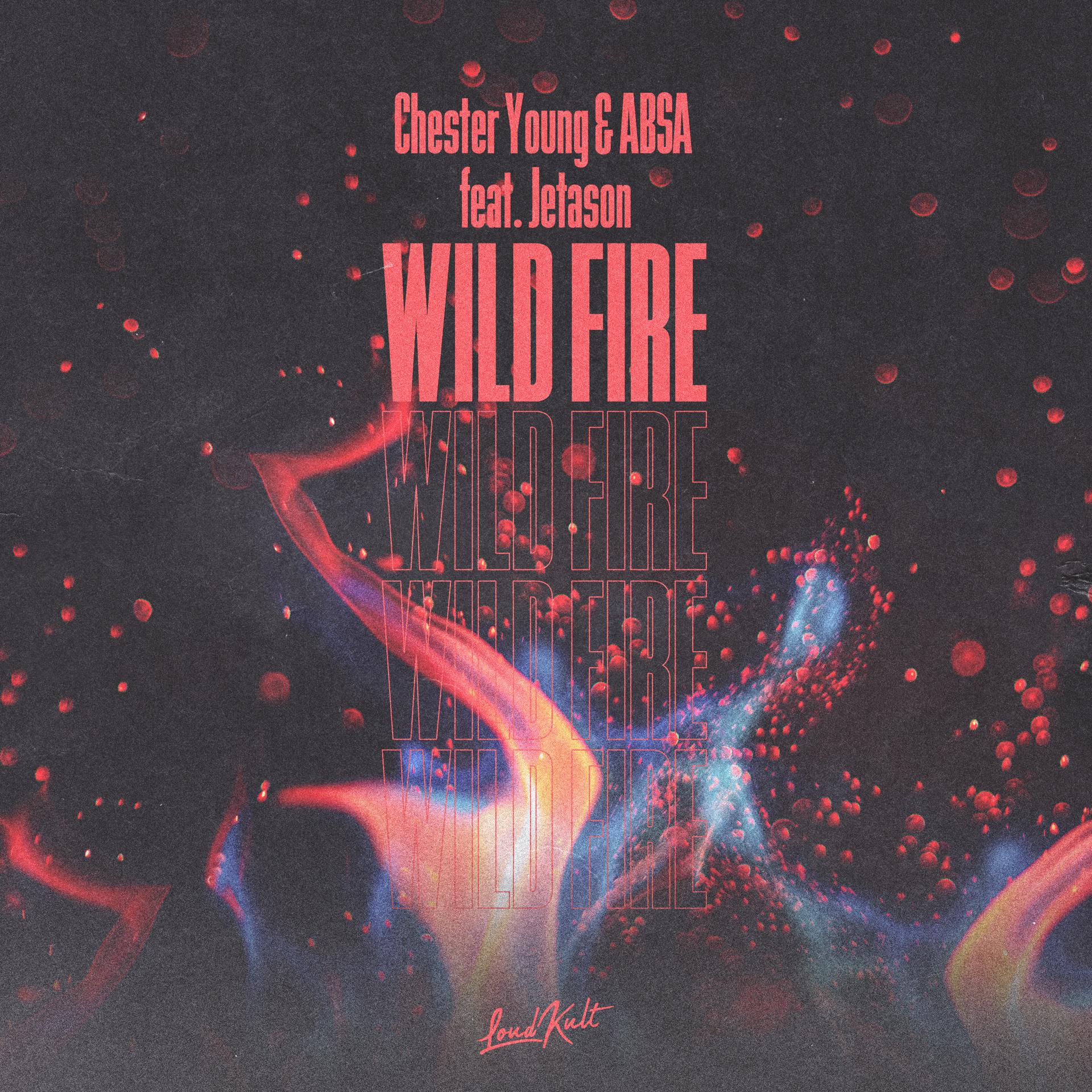 Постер альбома Wild Fire