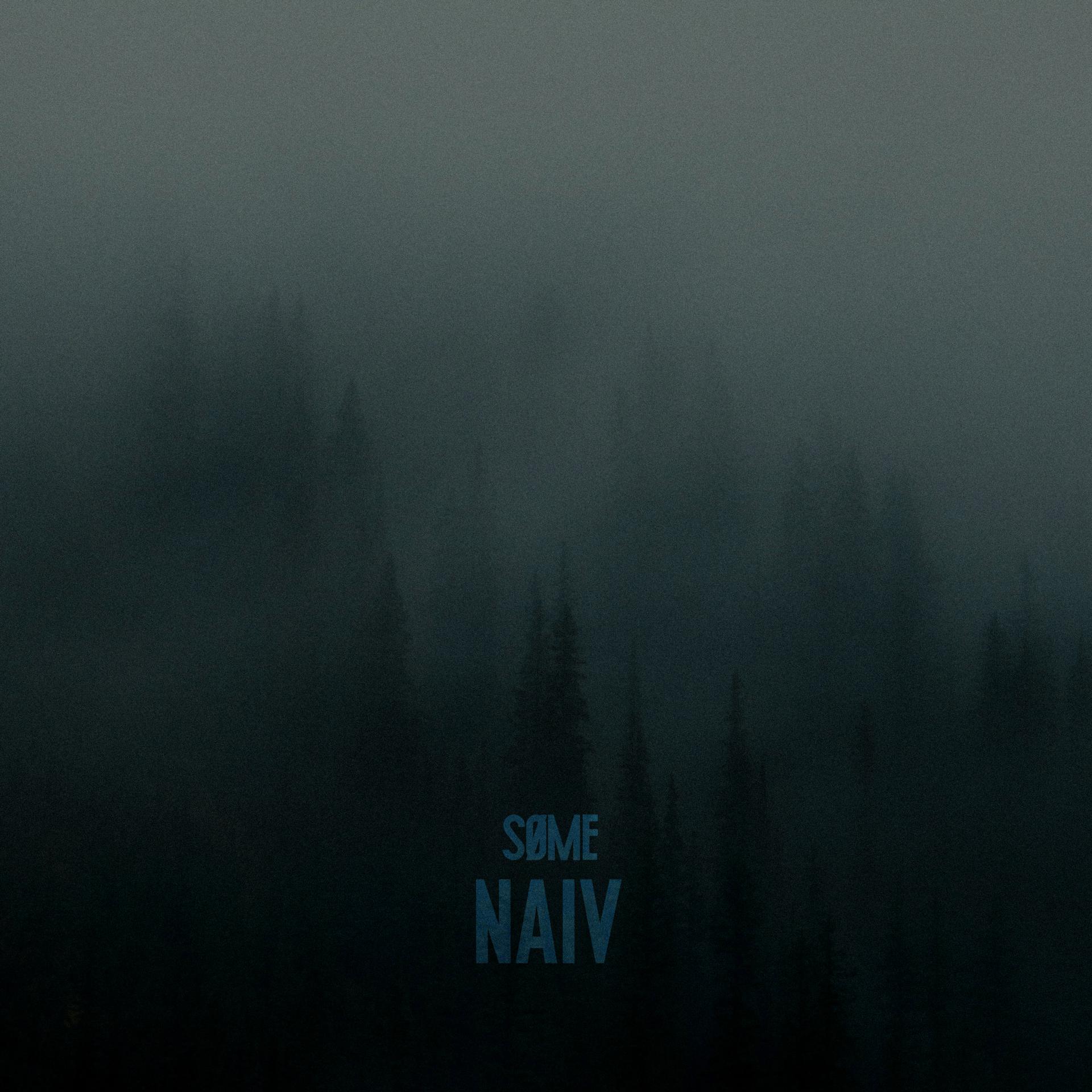 Постер альбома Naiv