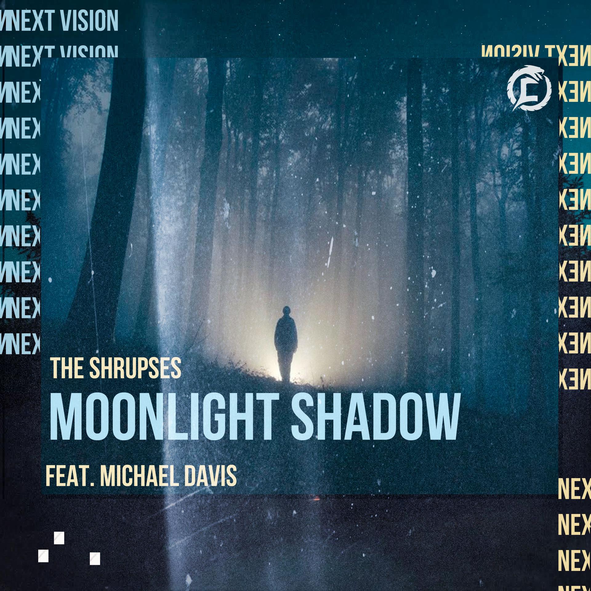 Постер альбома Moonlight Shadow