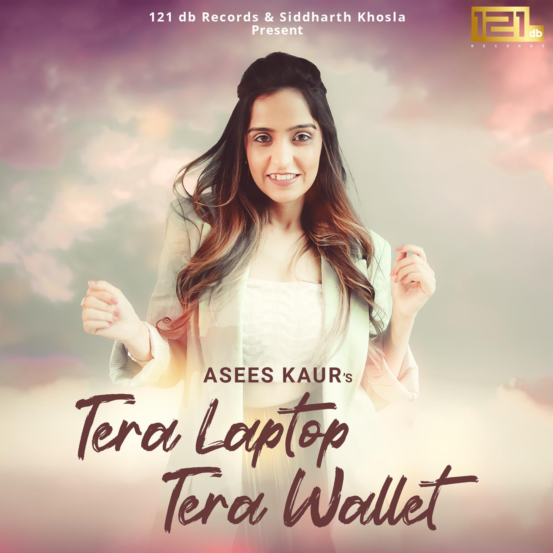 Постер альбома Tera Laptop Tera Wallet