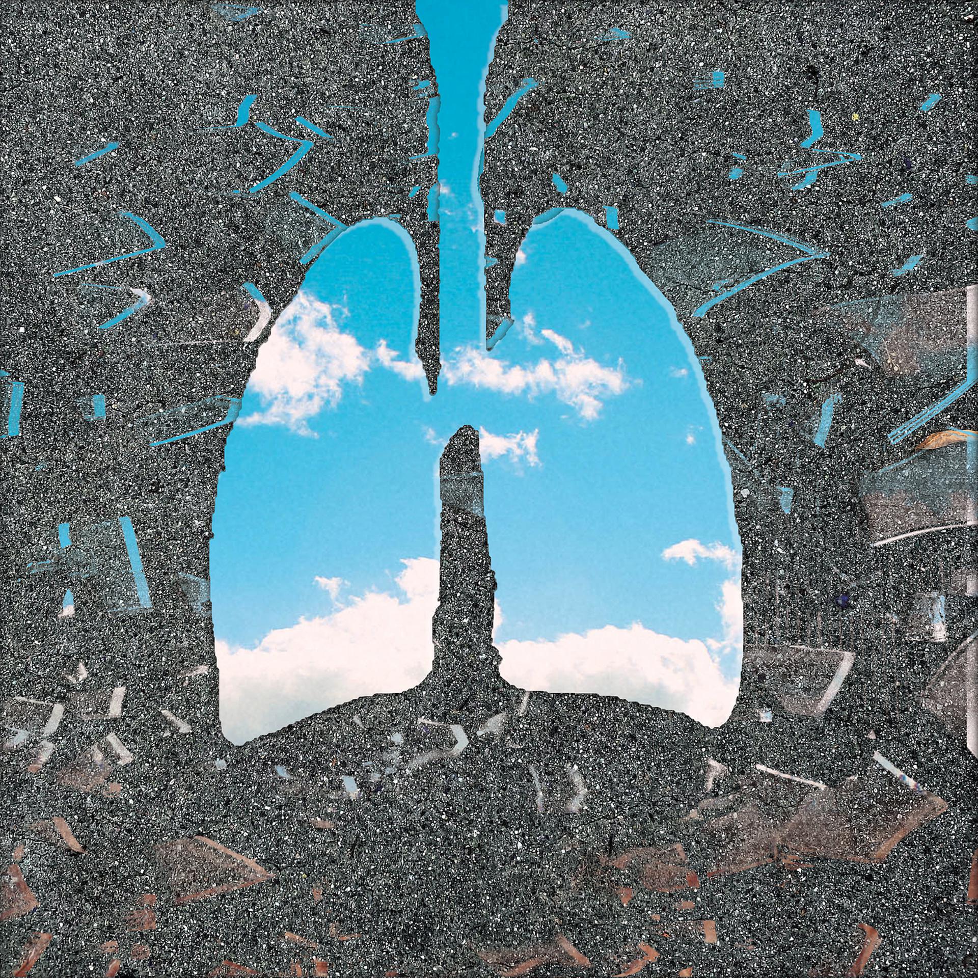Постер альбома Lungs