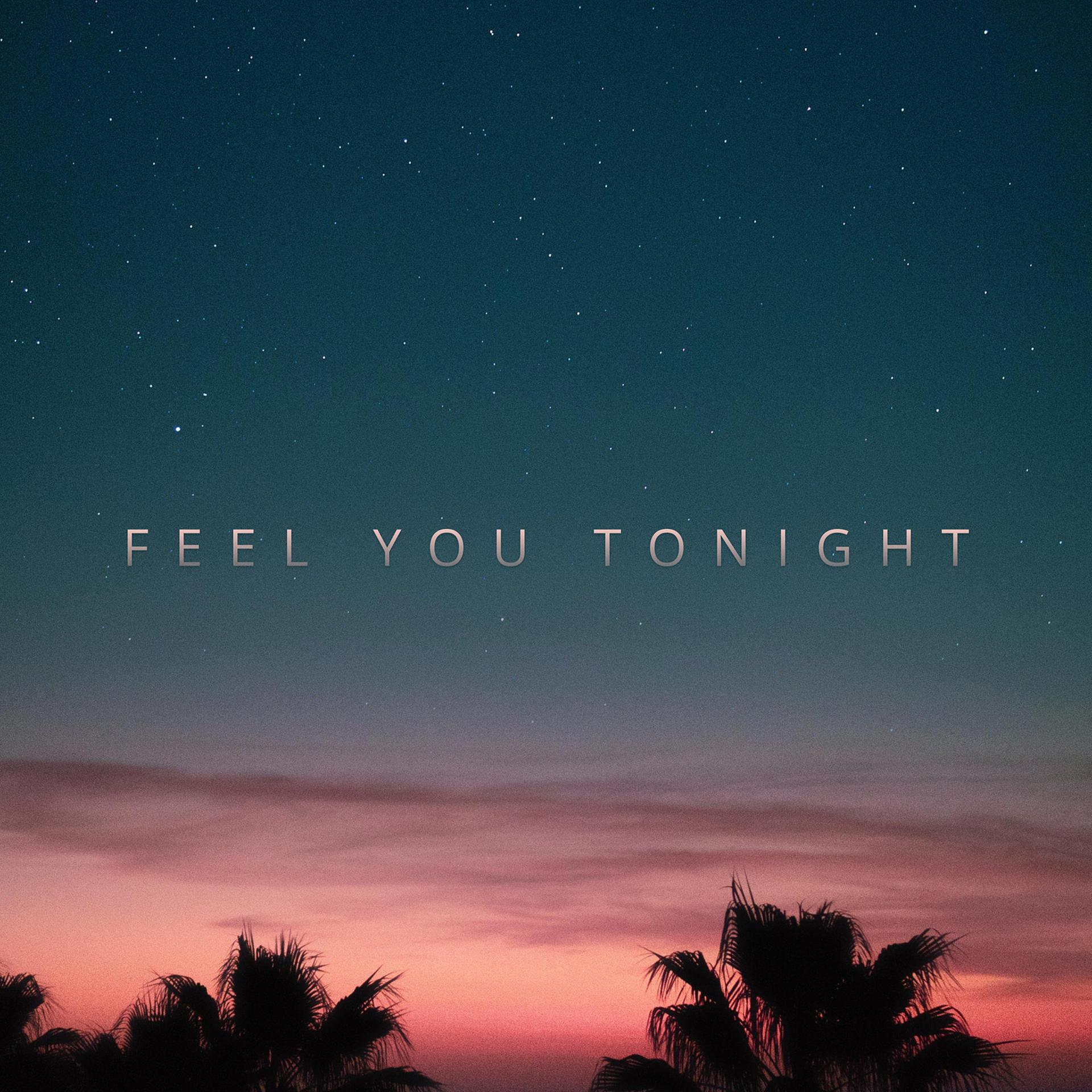 Постер альбома Feel You Tonight
