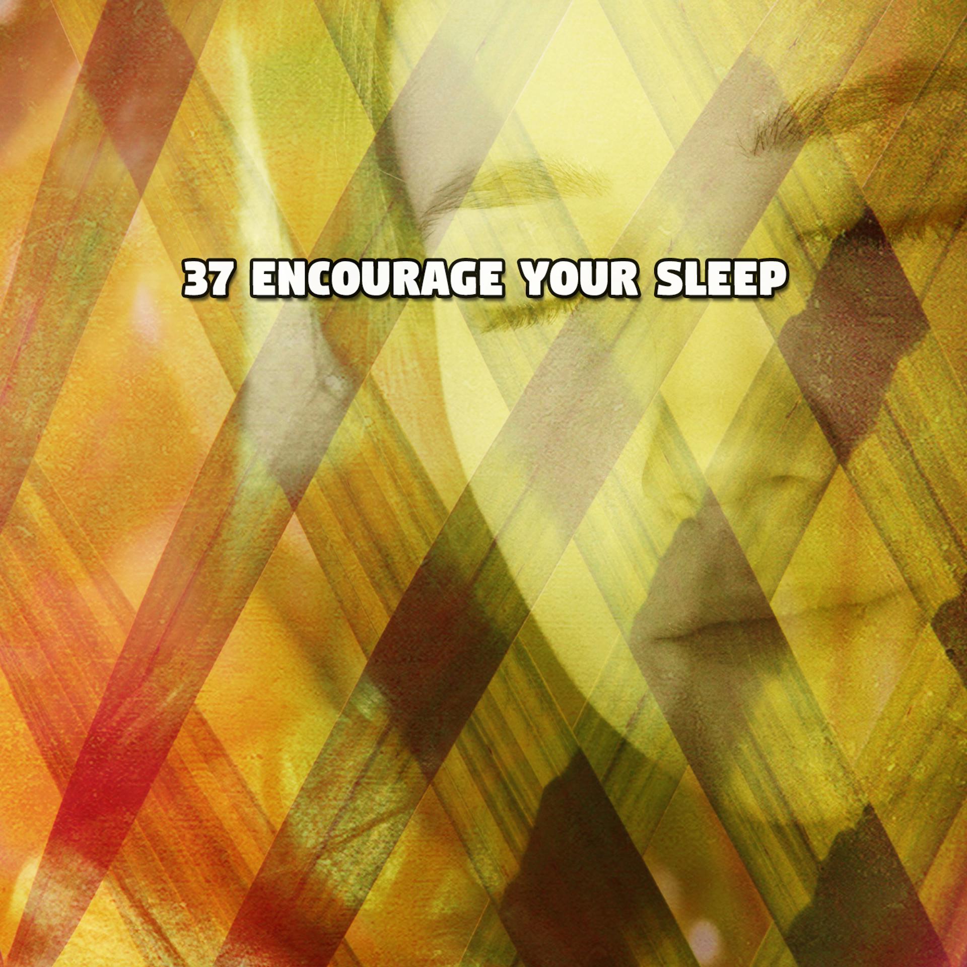 Постер альбома 37 Encourage Your Sleep