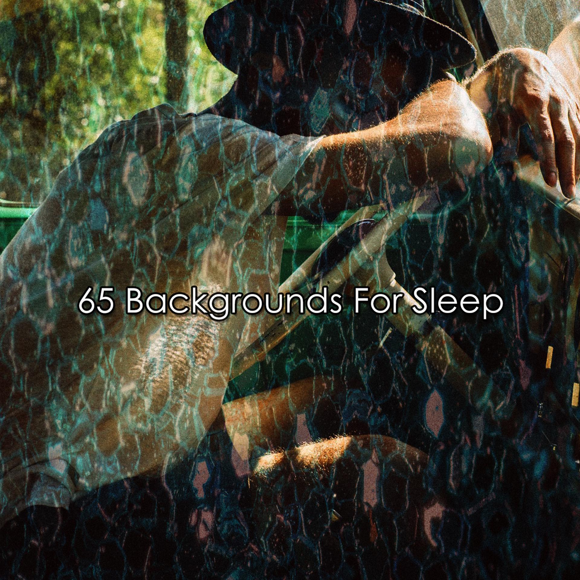 Постер альбома 65 Backgrounds For Sleep
