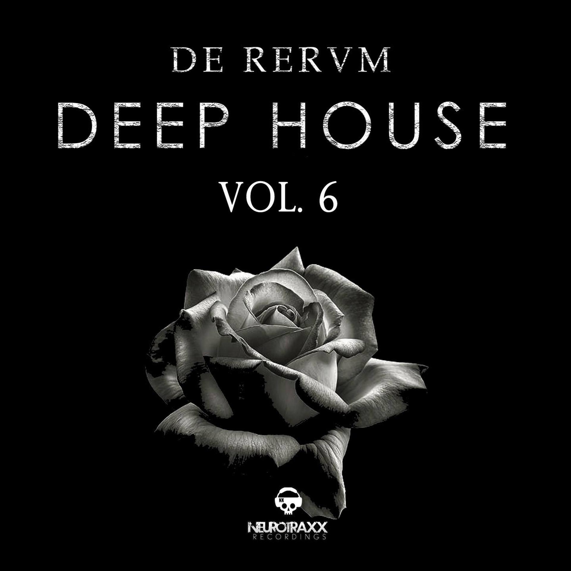 Постер альбома De Rerum Deep House, Vol. 6