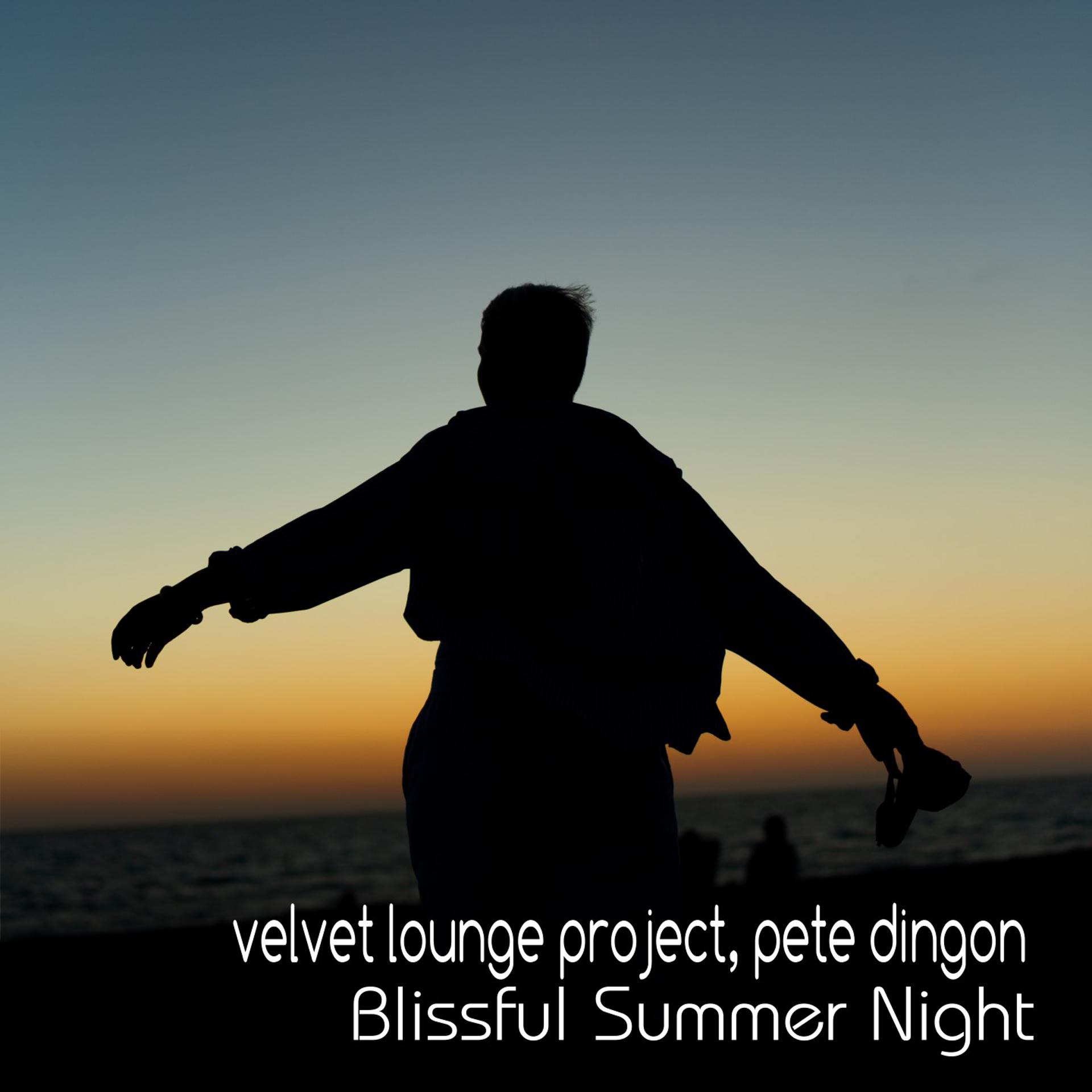Постер альбома Blissful Summer Night