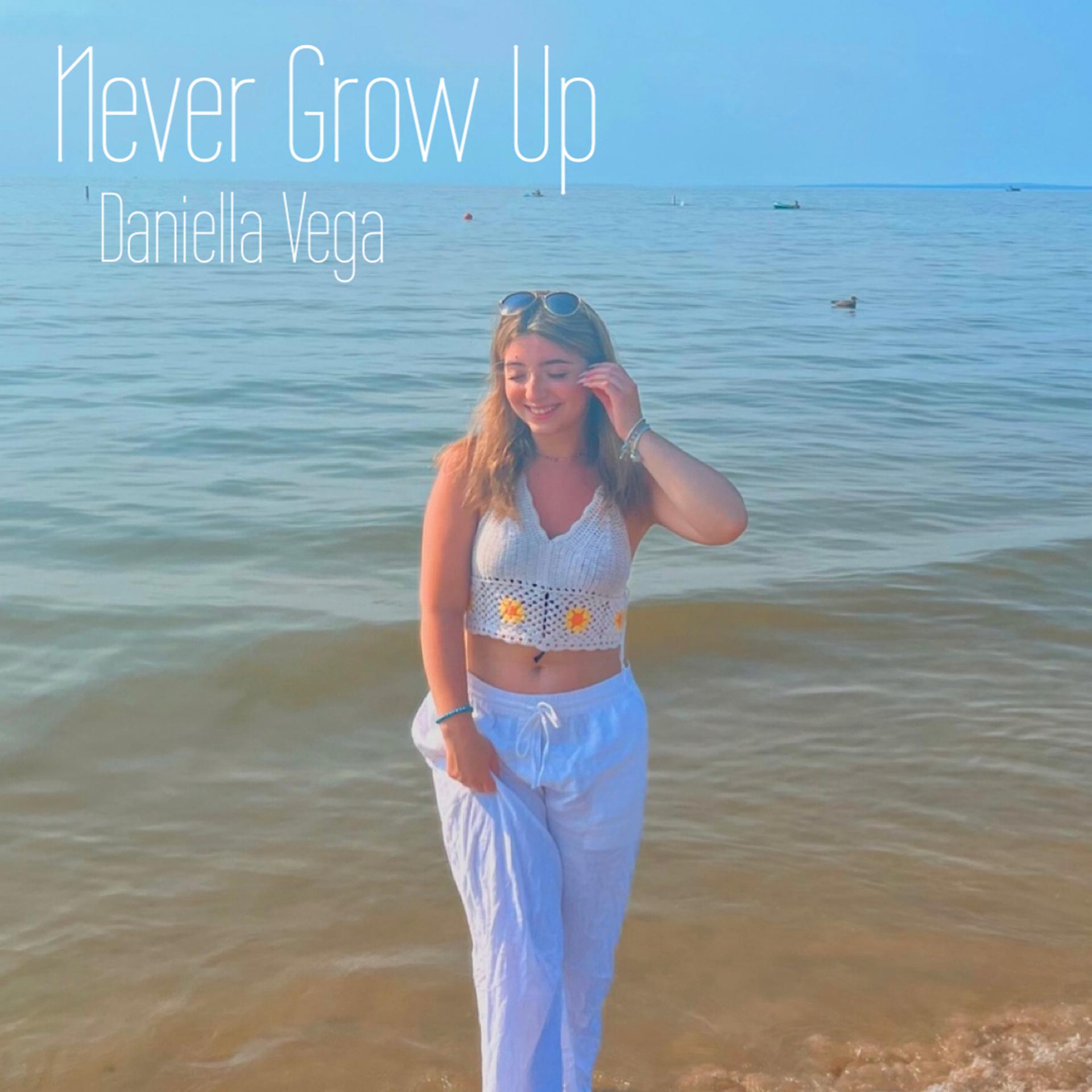 Постер альбома Never Grow up (Cover)
