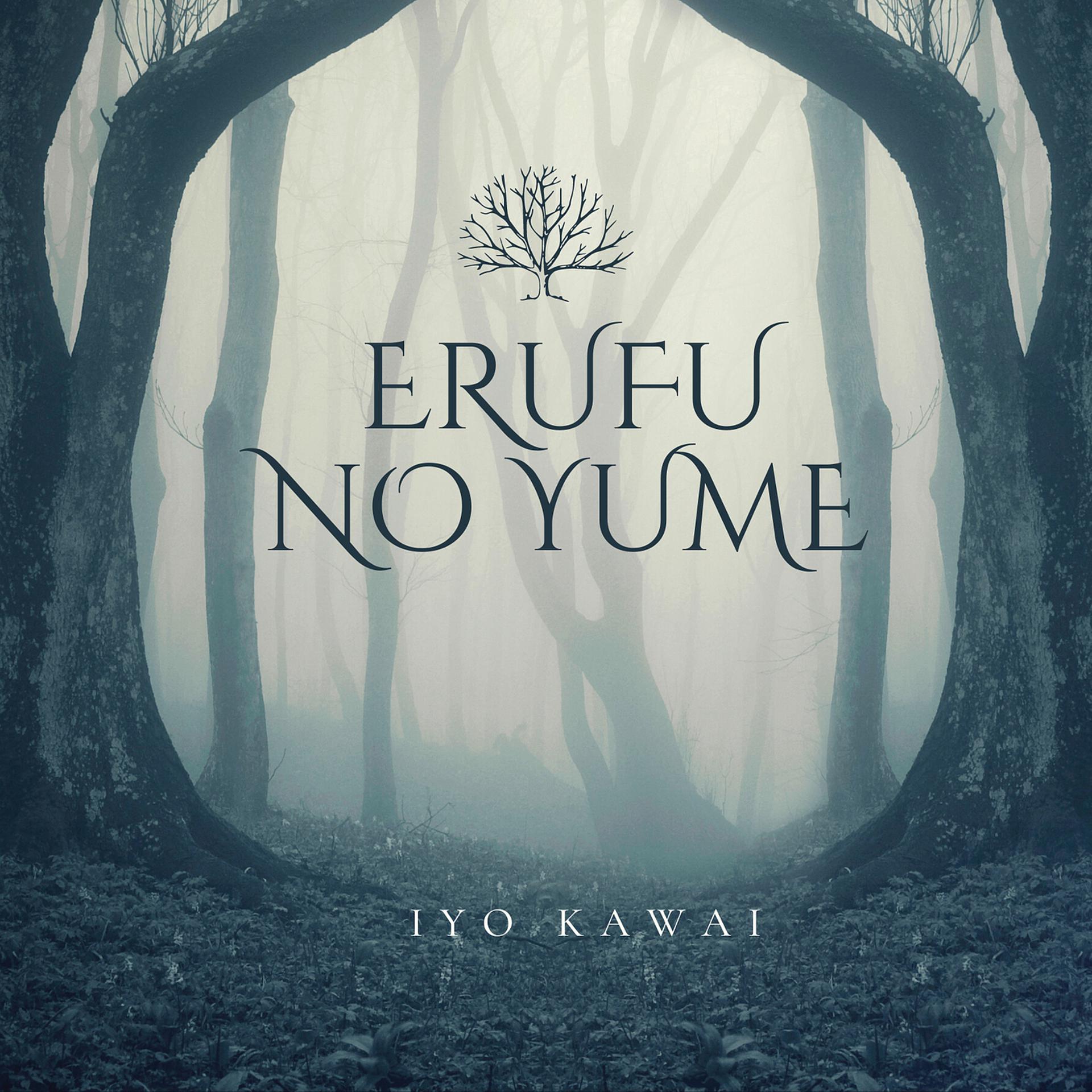 Постер альбома Erufu No Yume