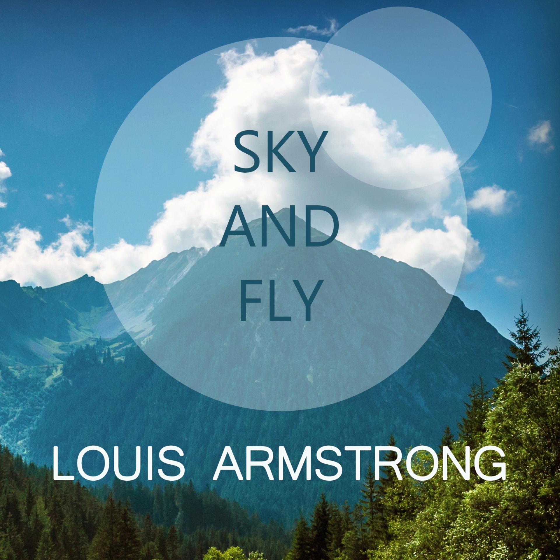 Постер альбома Sky And Fly