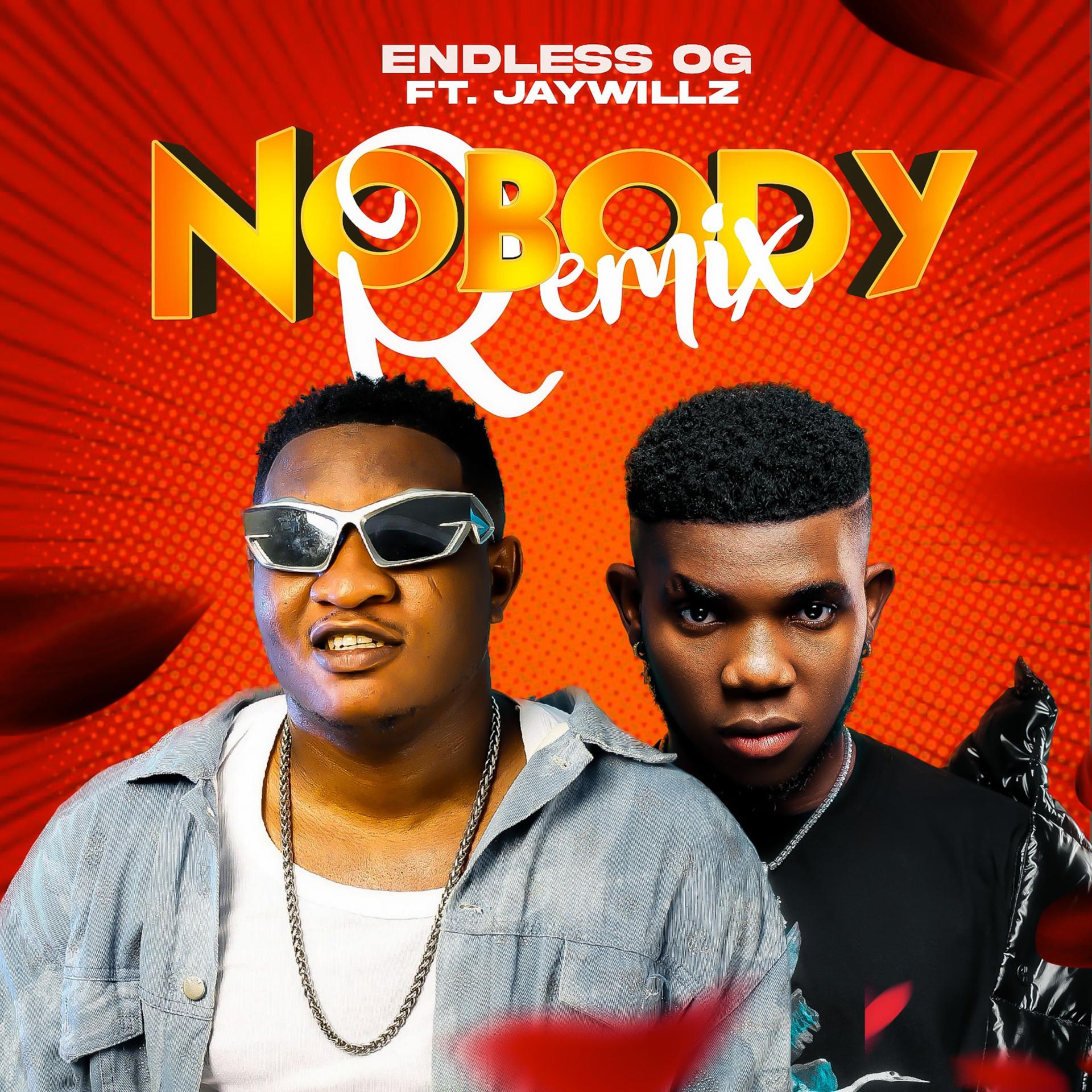 Постер альбома Nobody (Remix)