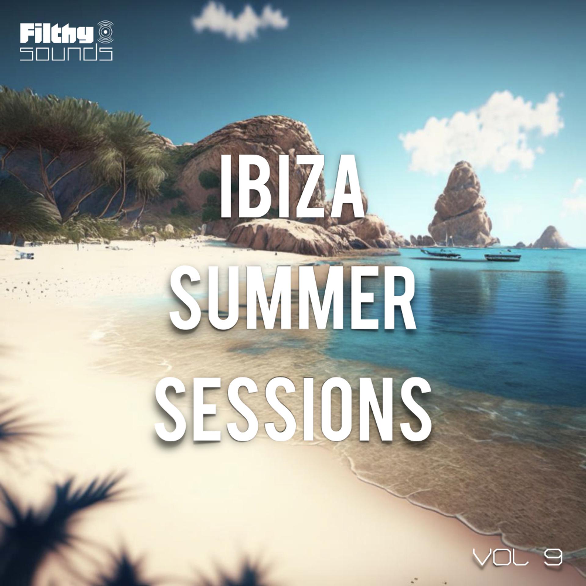 Постер альбома Ibiza Summer Sessions, Vol. 9