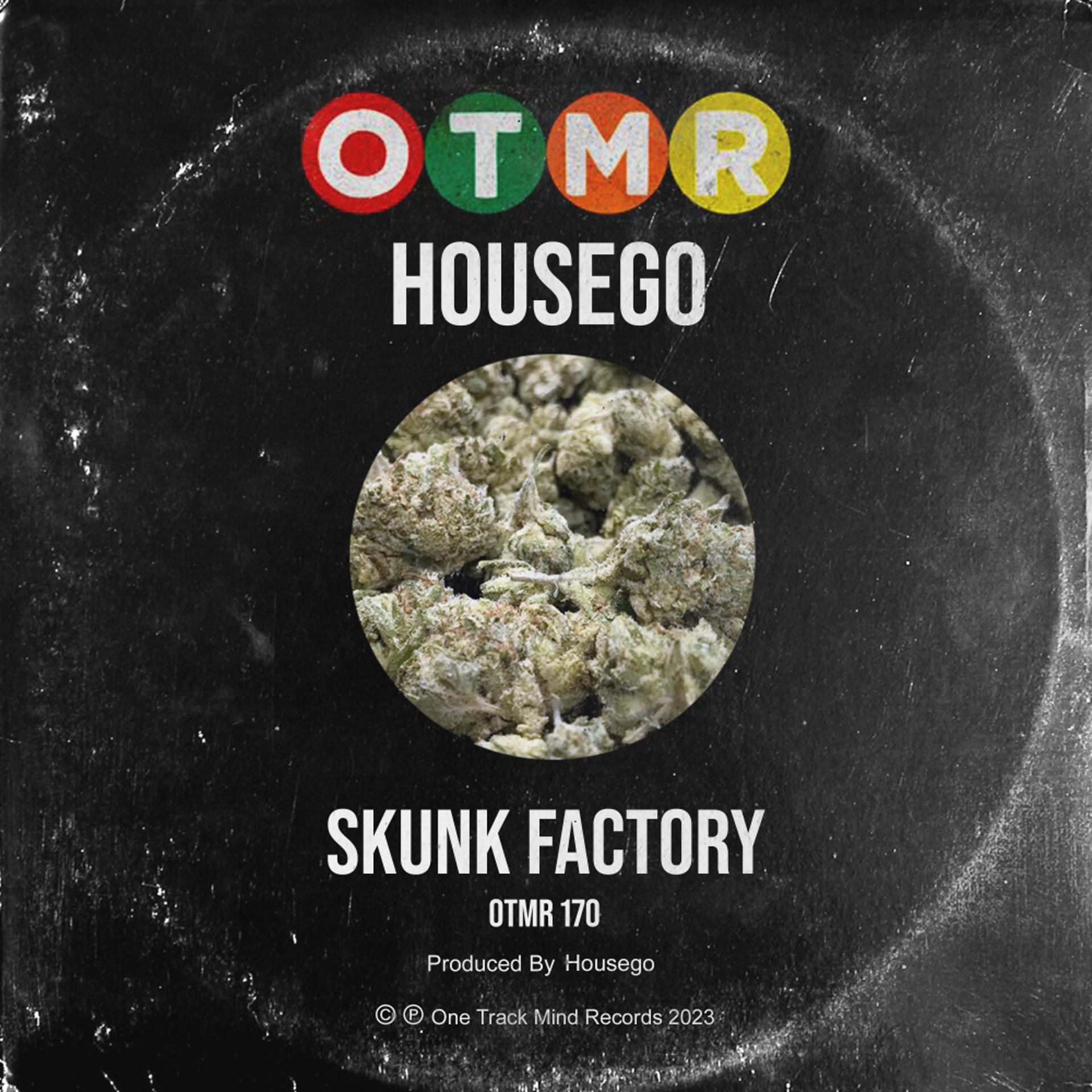 Постер альбома Skunk Factory