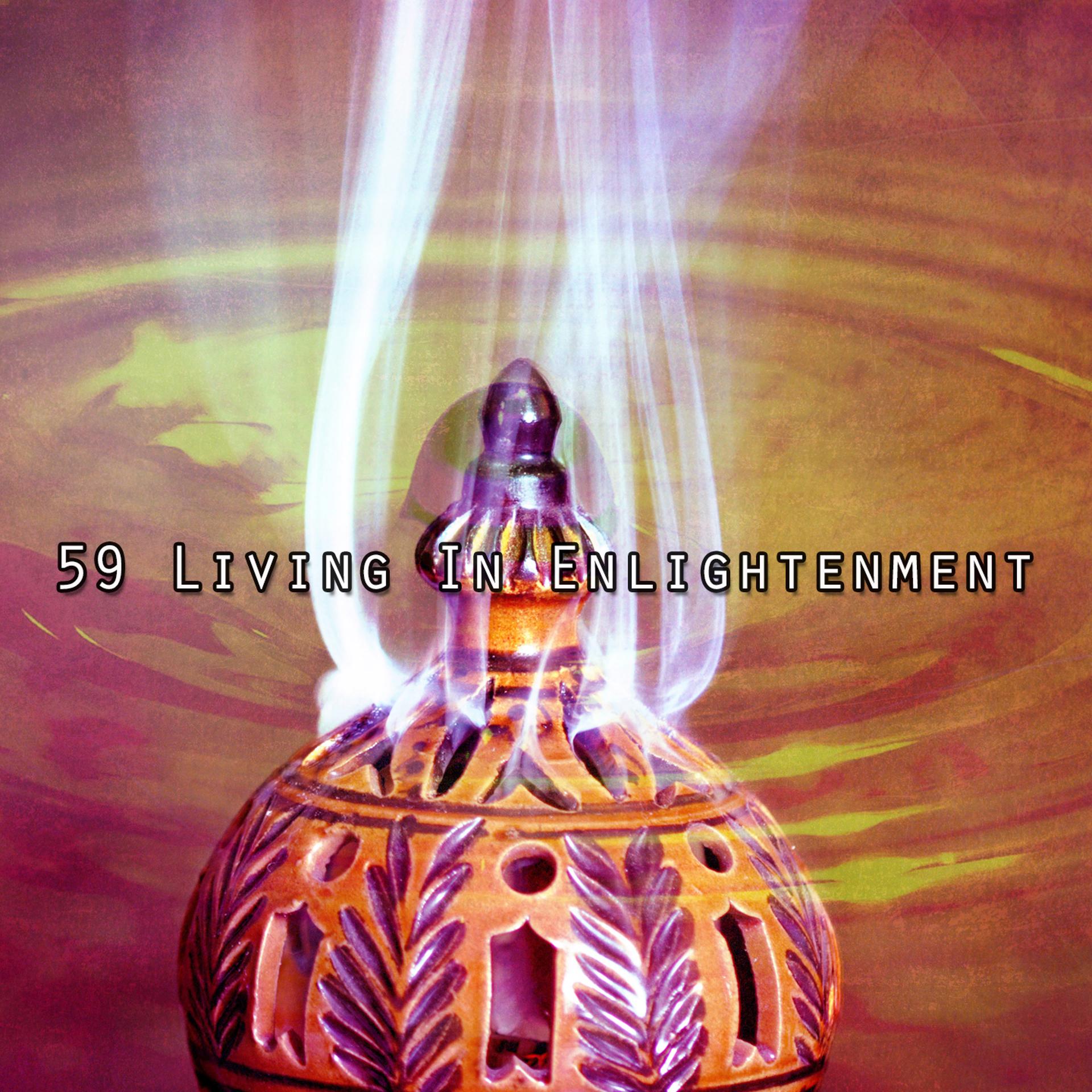 Постер альбома 59 Living In Enlightenment
