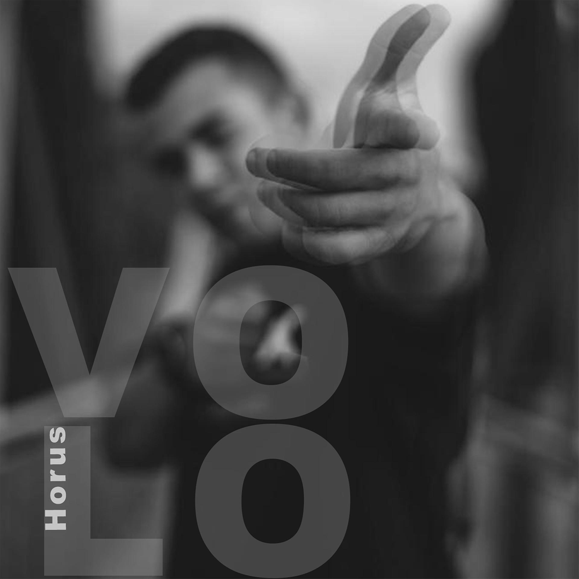 Постер альбома Volo